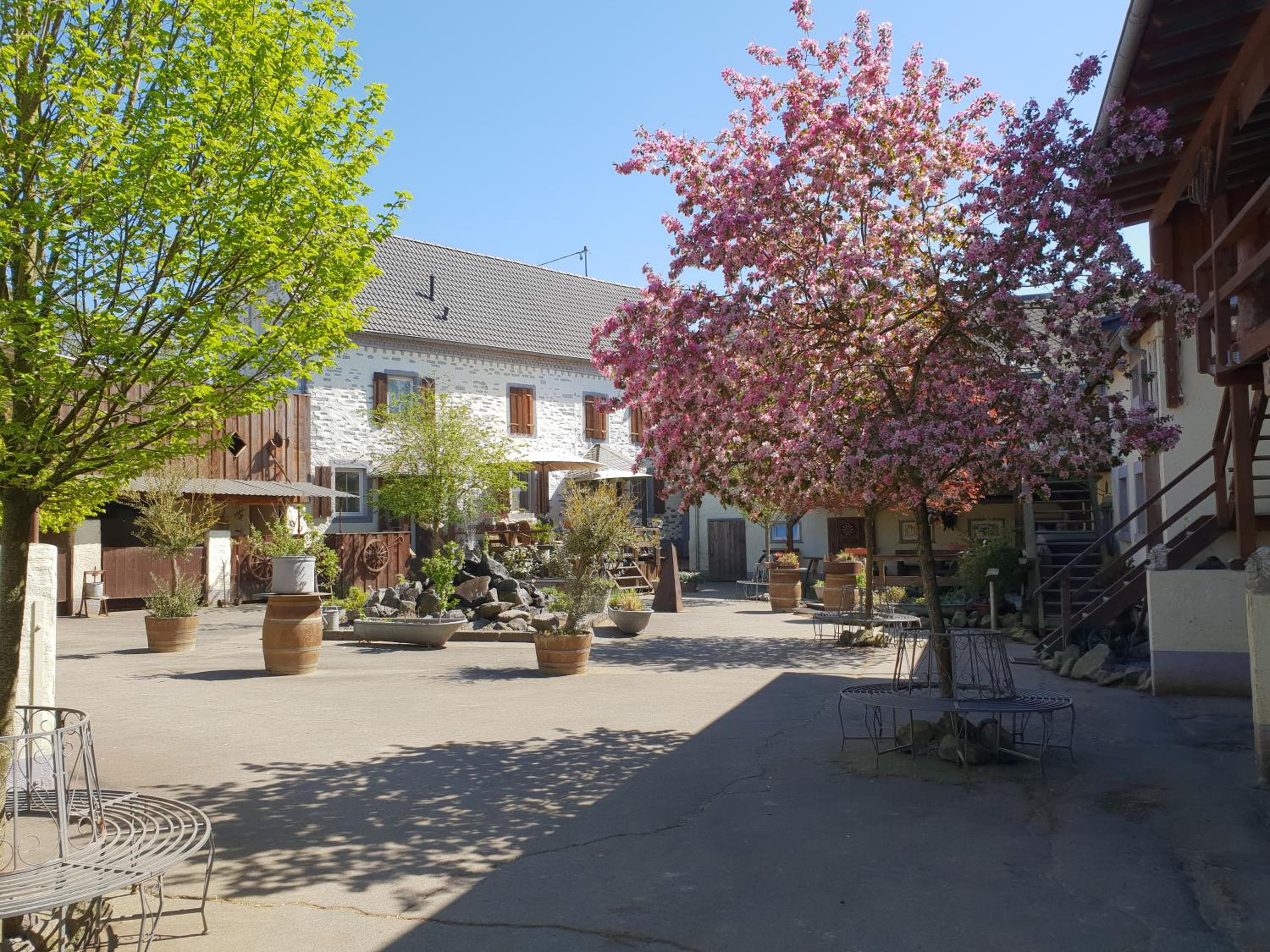 Moderne Ferienwohnung Black Beauty auf idyllischem Reiterhof nähe Burg Eltz