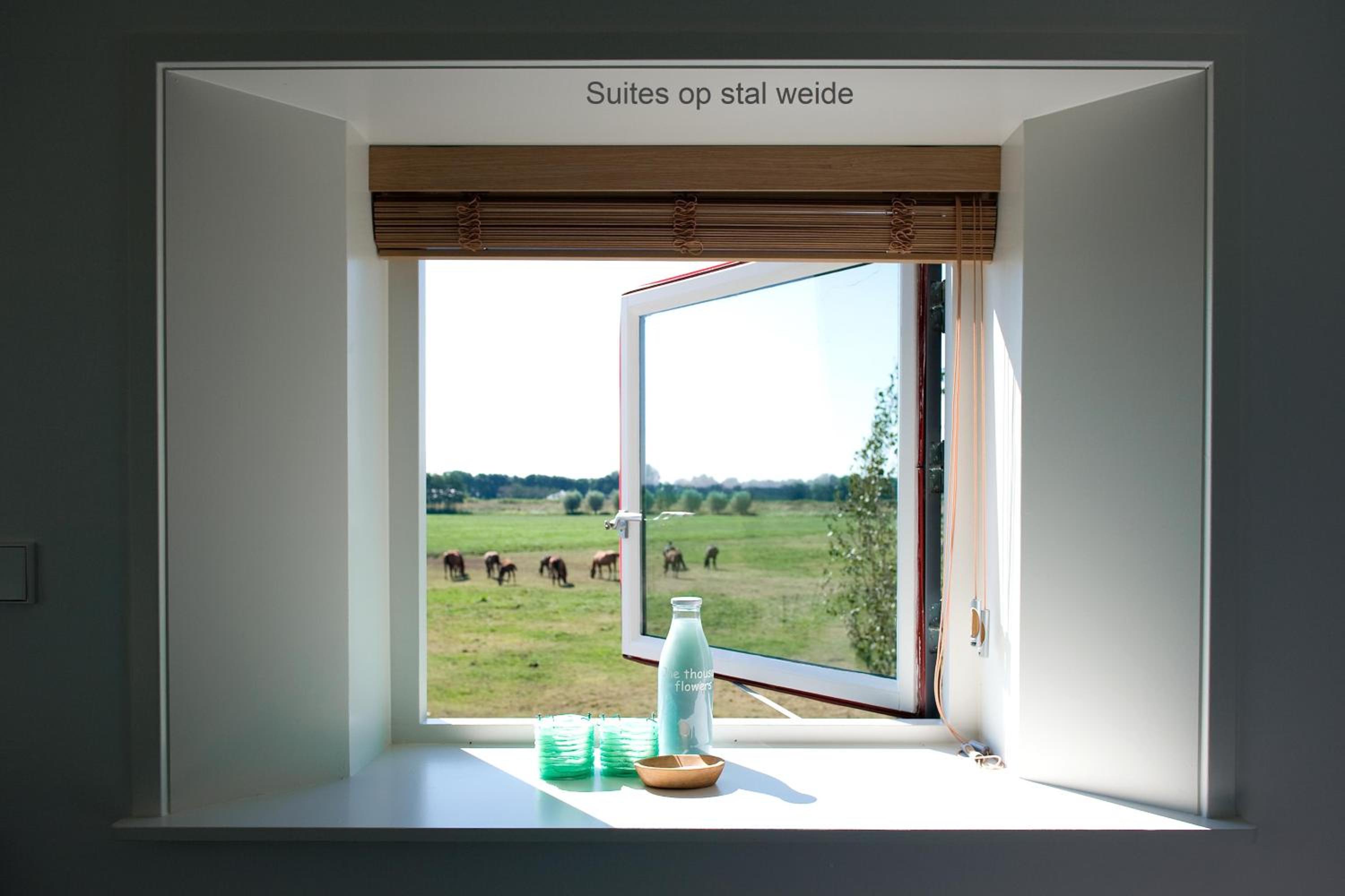 Boutique hotel Villa Oldenhoff, photo 39