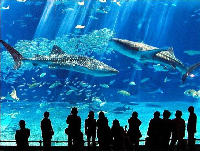 Photo 37