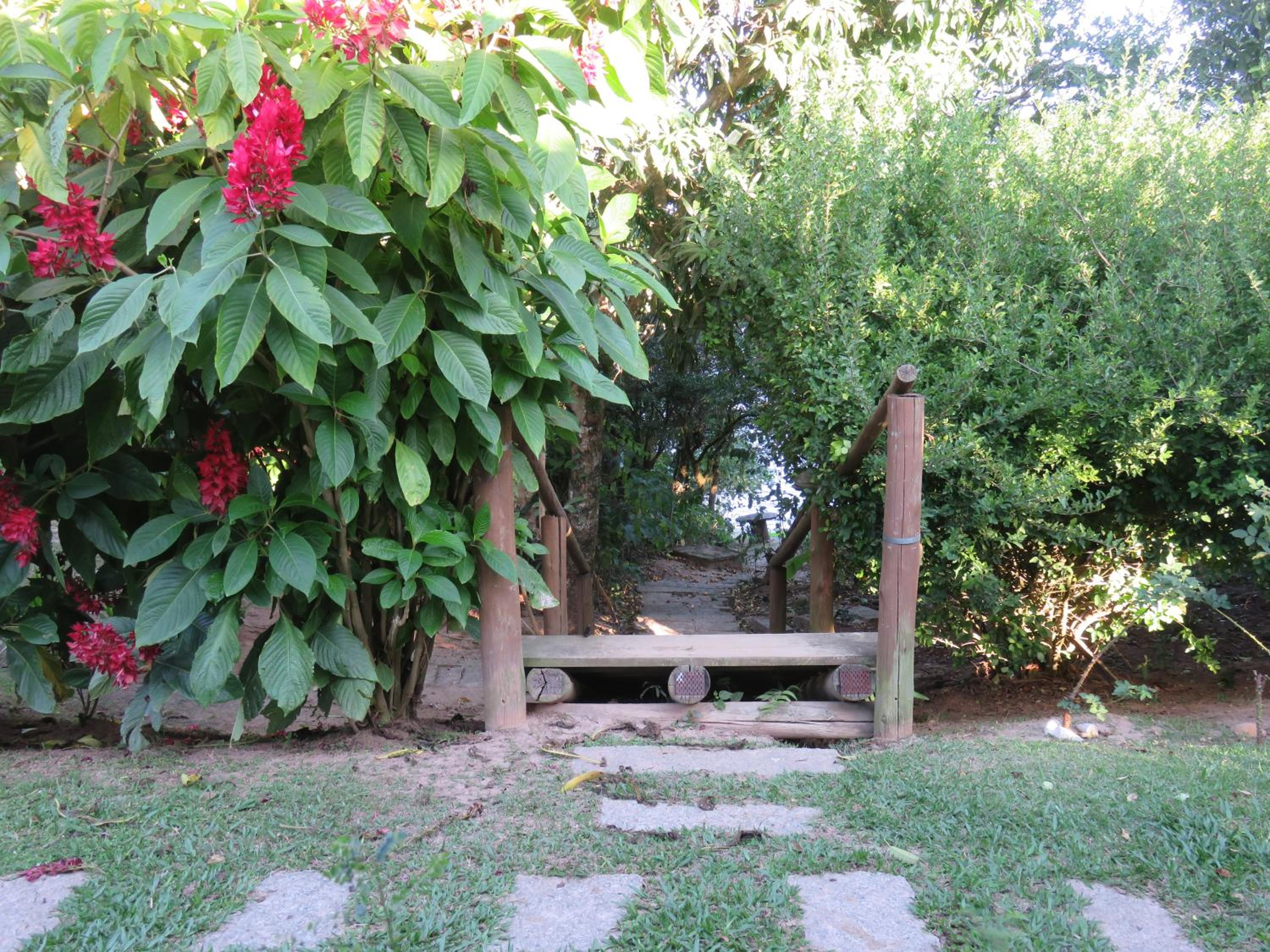 Photo 28