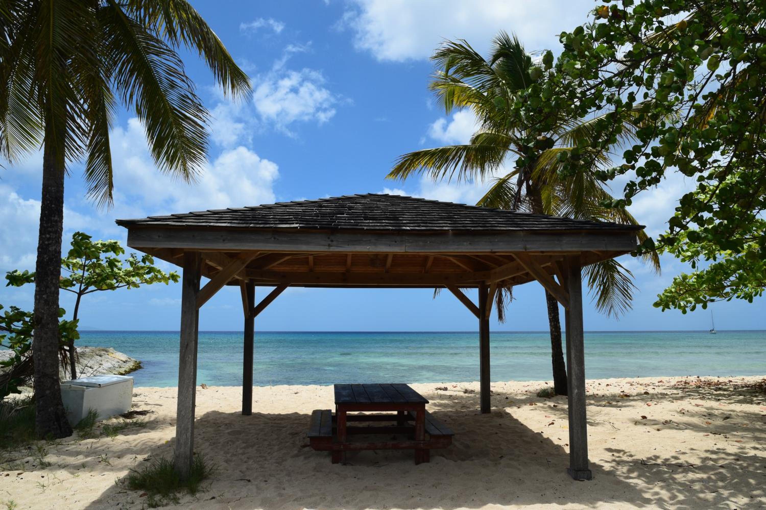 Photo 11