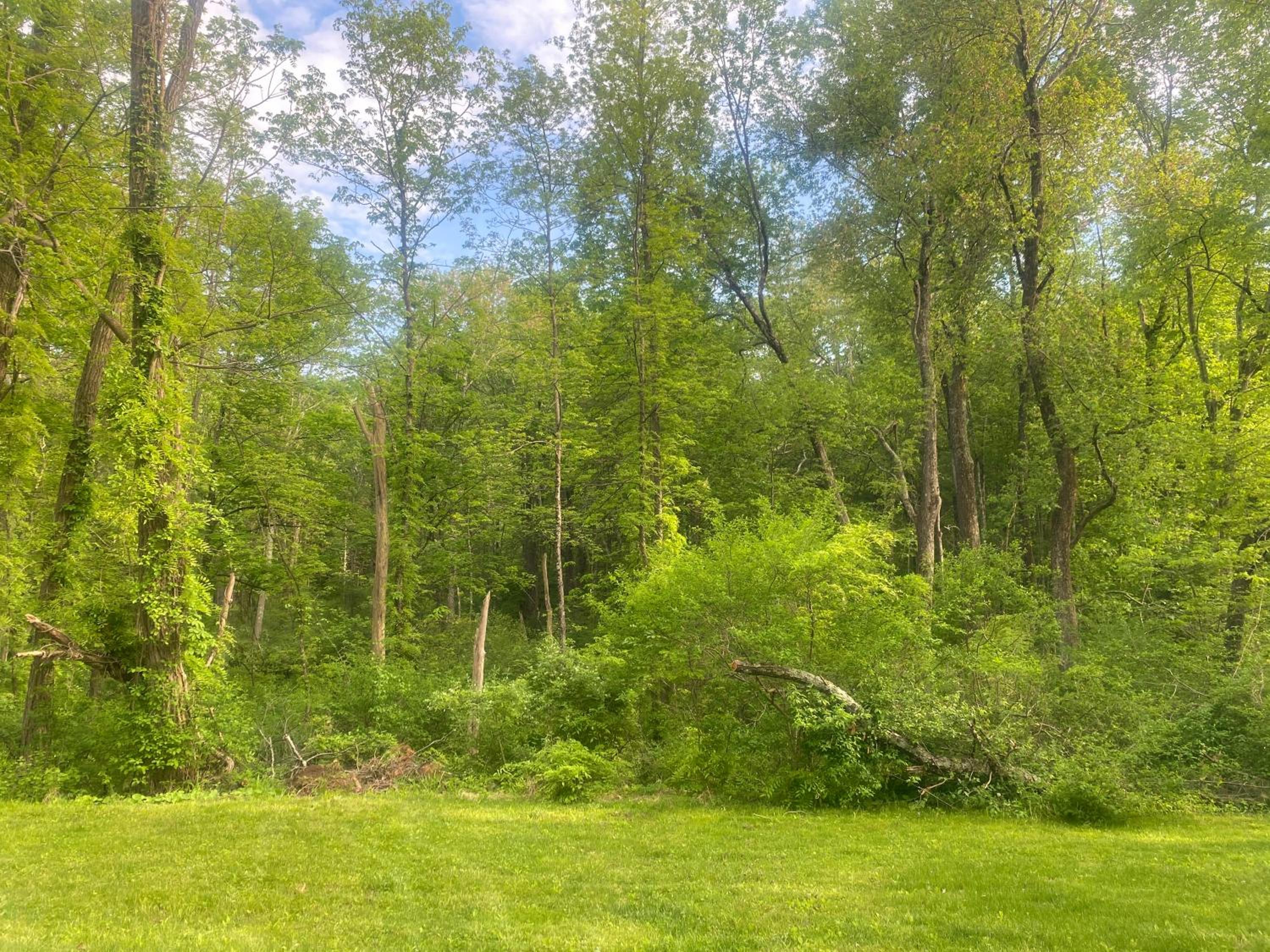 Newly Renovated 3BR Hudson Valley House