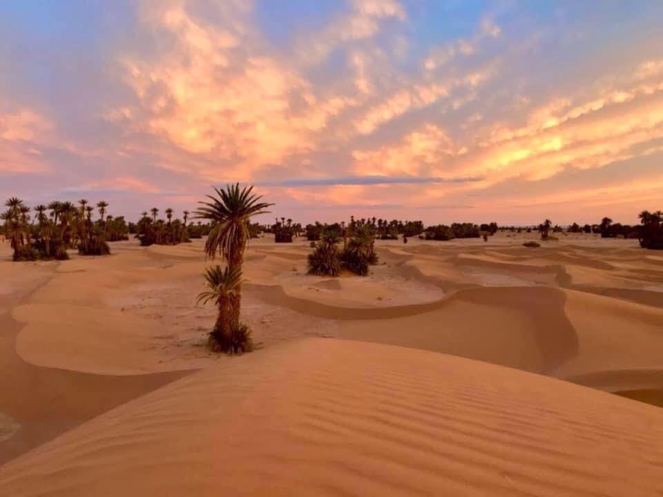 Camp Sahara Holidays view 5