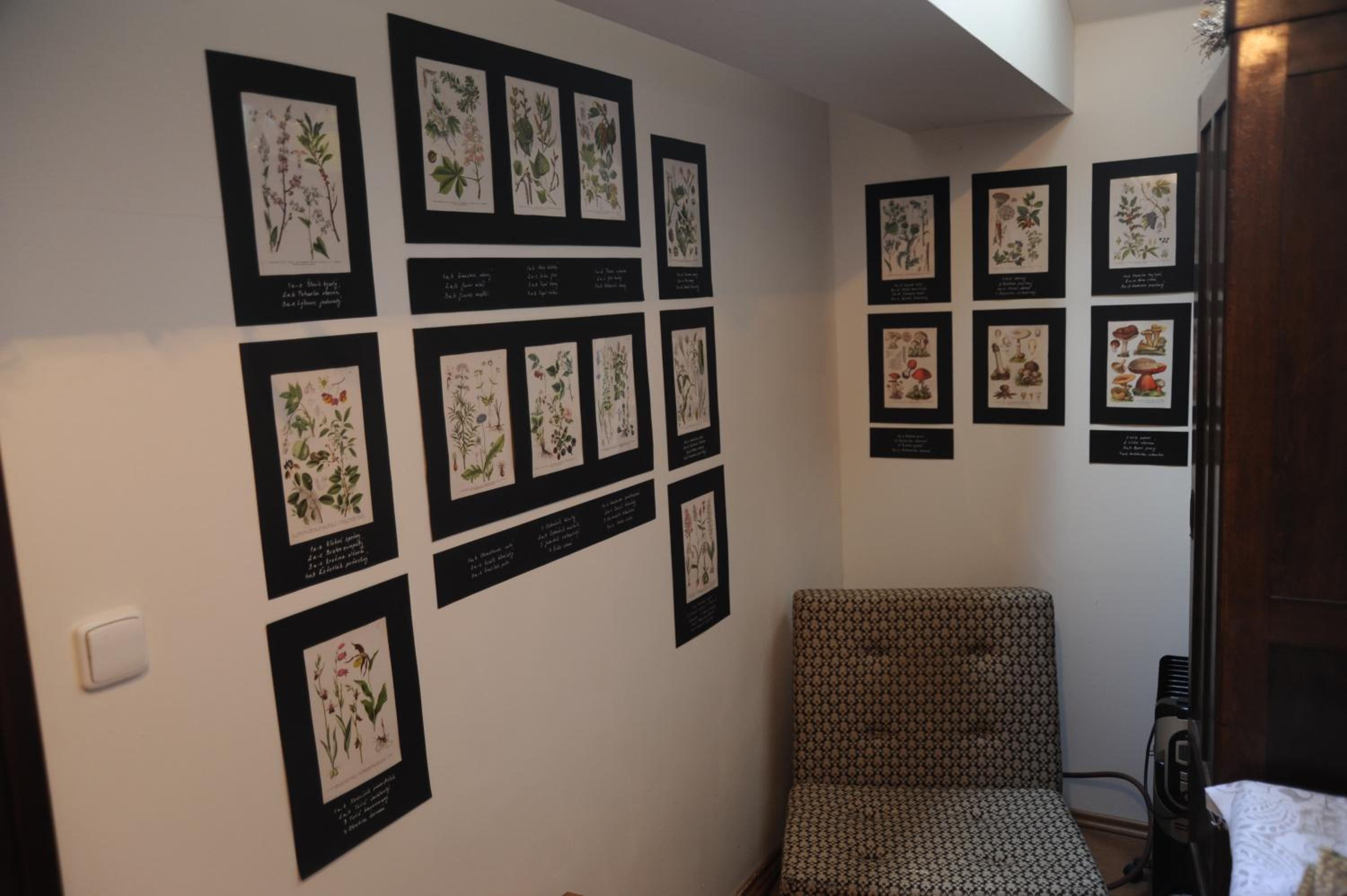 Apartmá v pivovaru Genius noci view 4