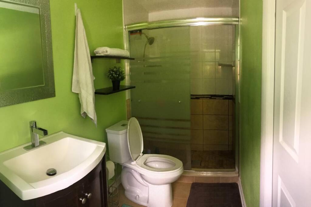 Cozy retreat in sunny Florida - Property Image 12