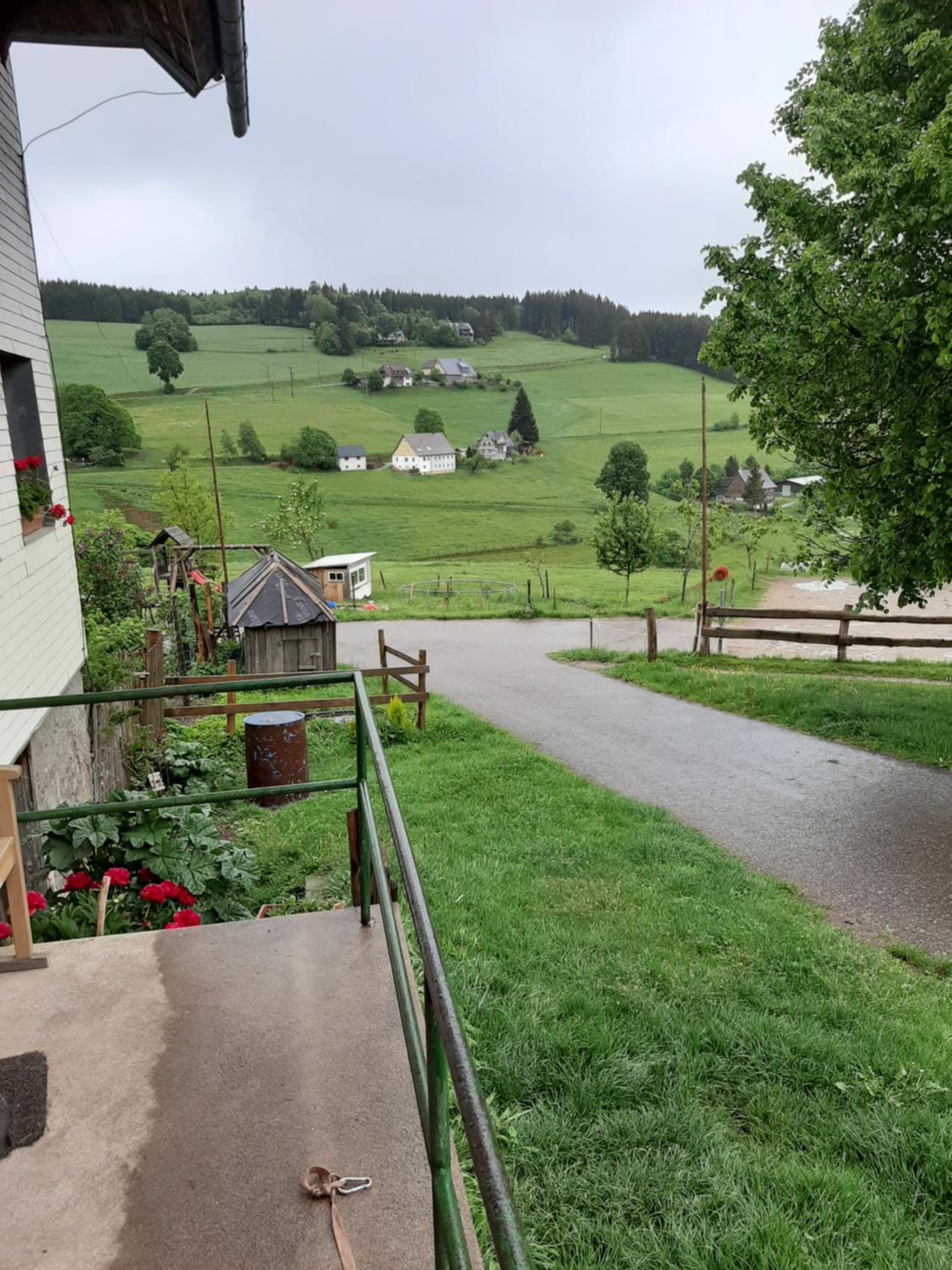 Schwarzwaldblick en Titisee-Neustadt — other