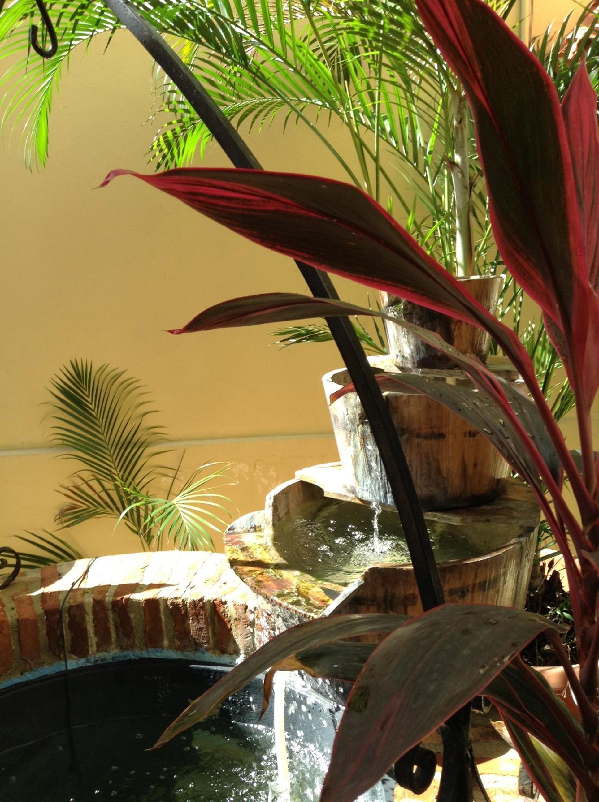 Canario Boutique Hotel - Property Image 37