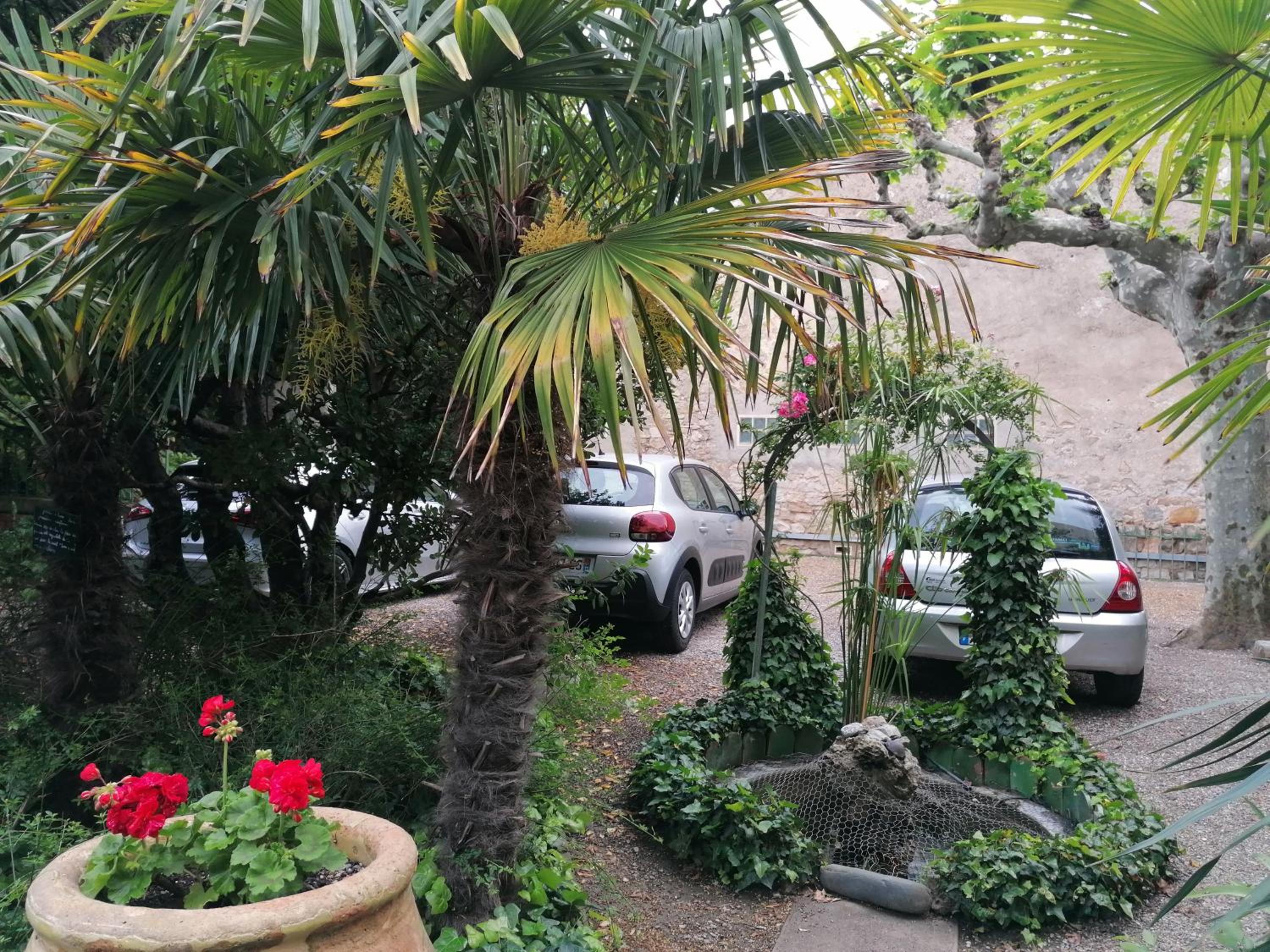 Photo 19