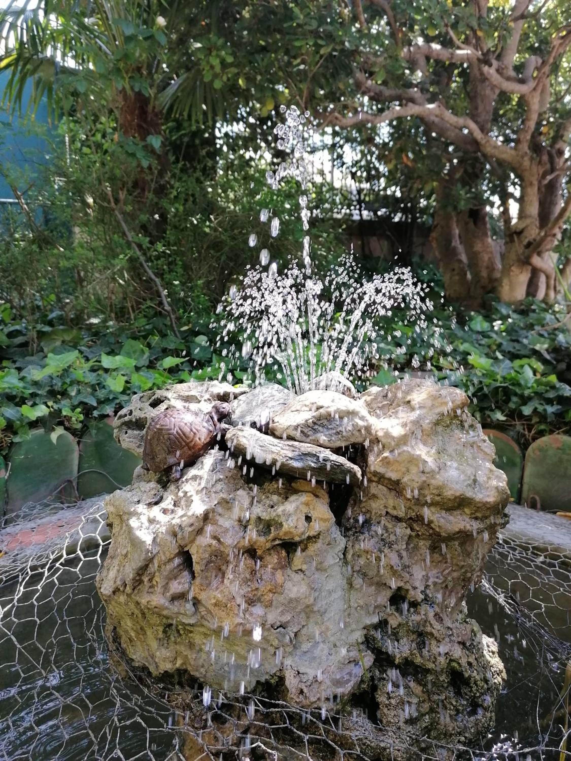 Villa Sainte Marie, photo 33