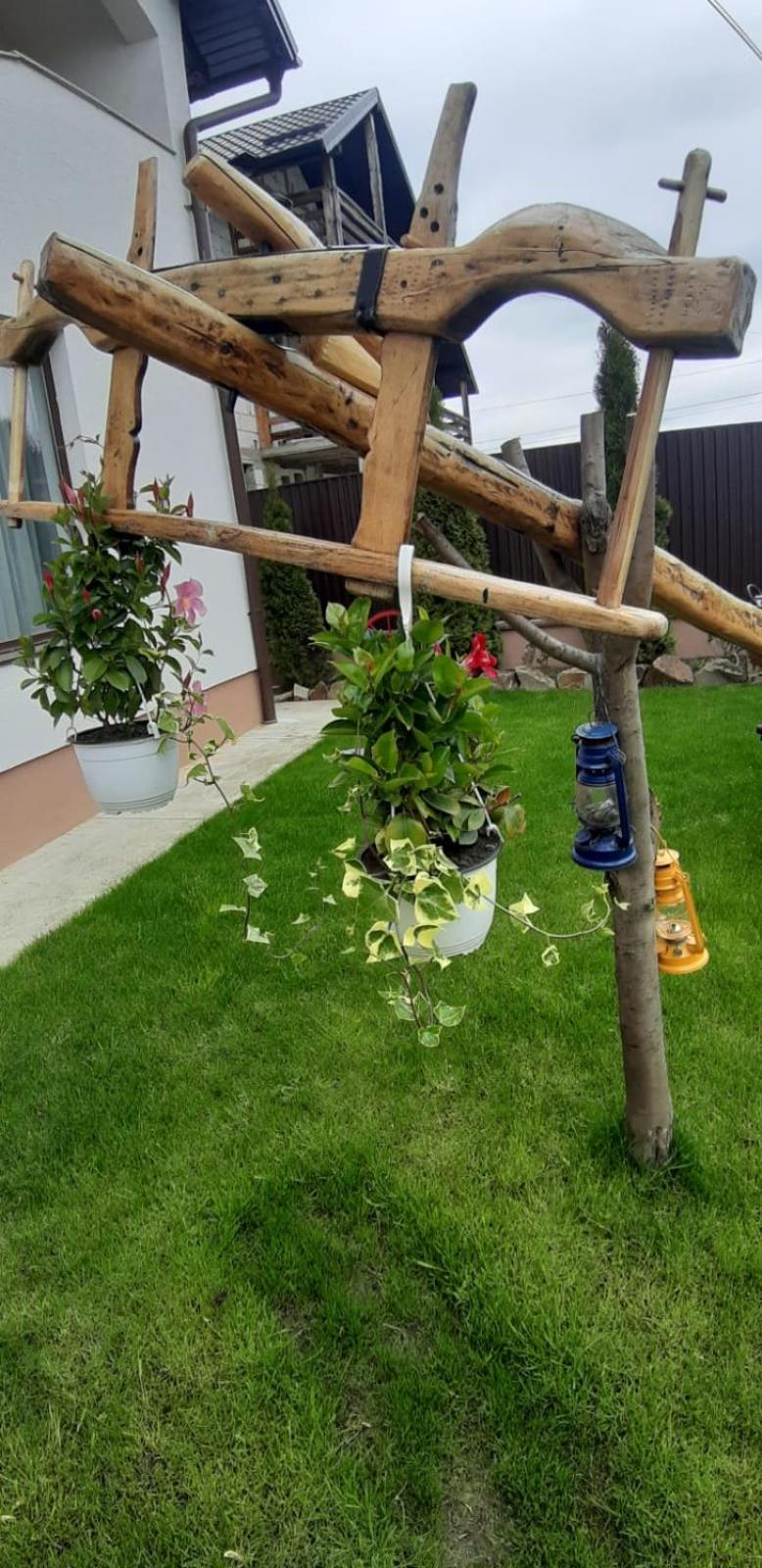 Photo 51