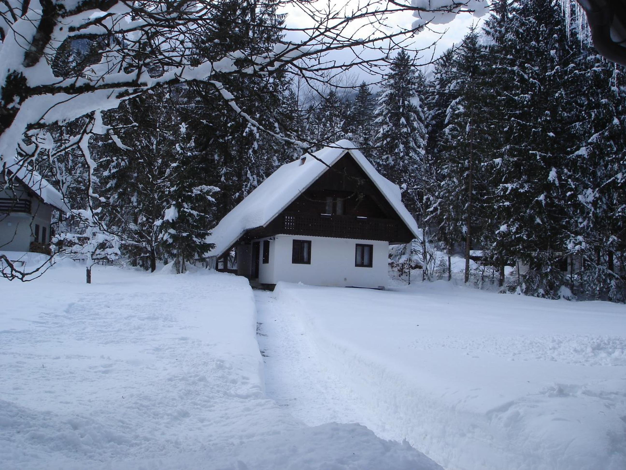 Apartments Lake Bohinj