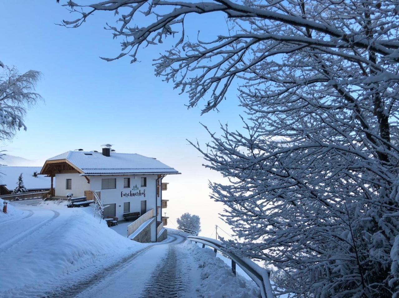 Forchnerhof Panorama- Rienzschlucht view 4
