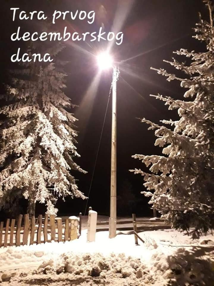 Photo 48