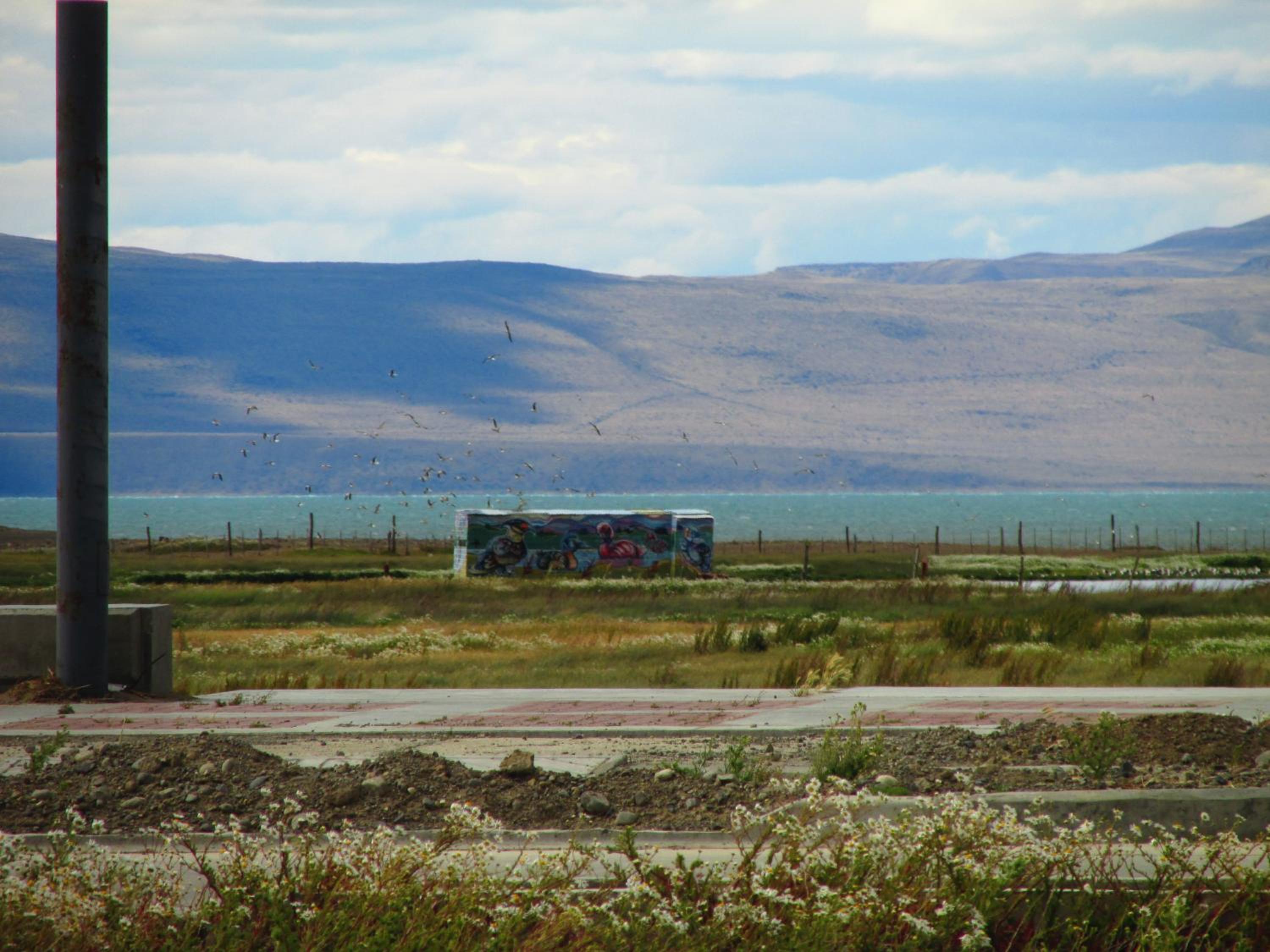 Hostel Aves del Lago