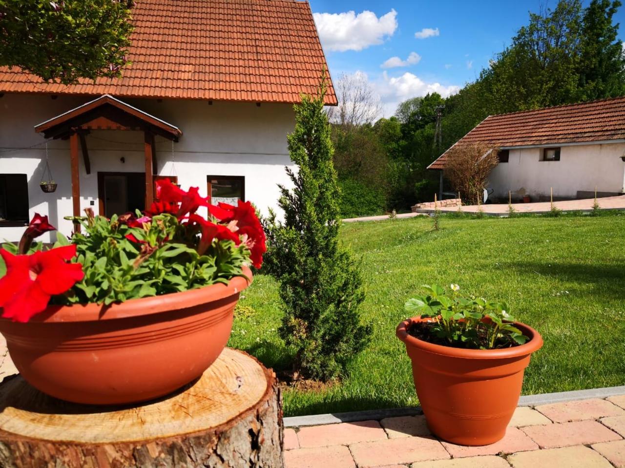 Mánfa-gyöngy Vendégház view 2