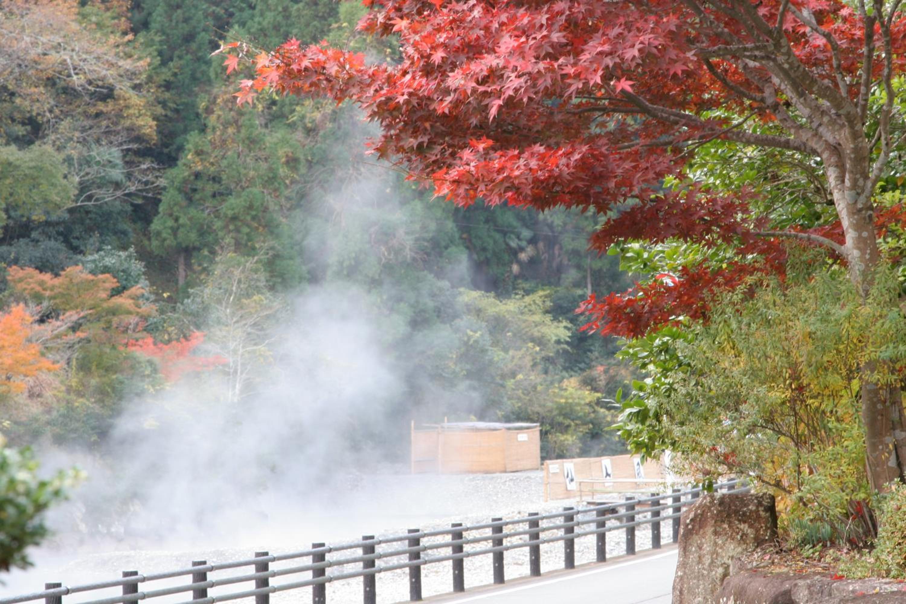 Kawayu Onsen Fujiya
