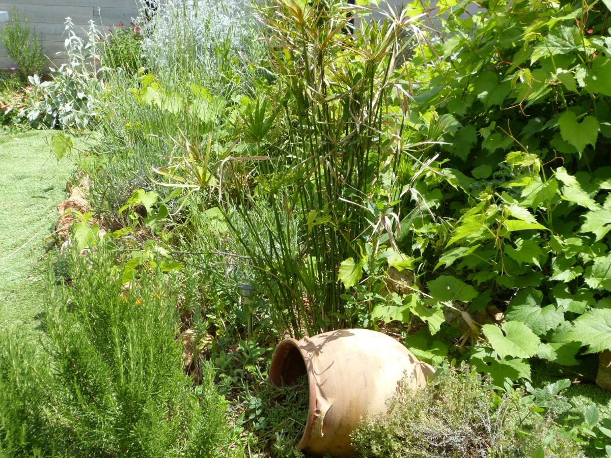 Eclats du Sud, photo 18