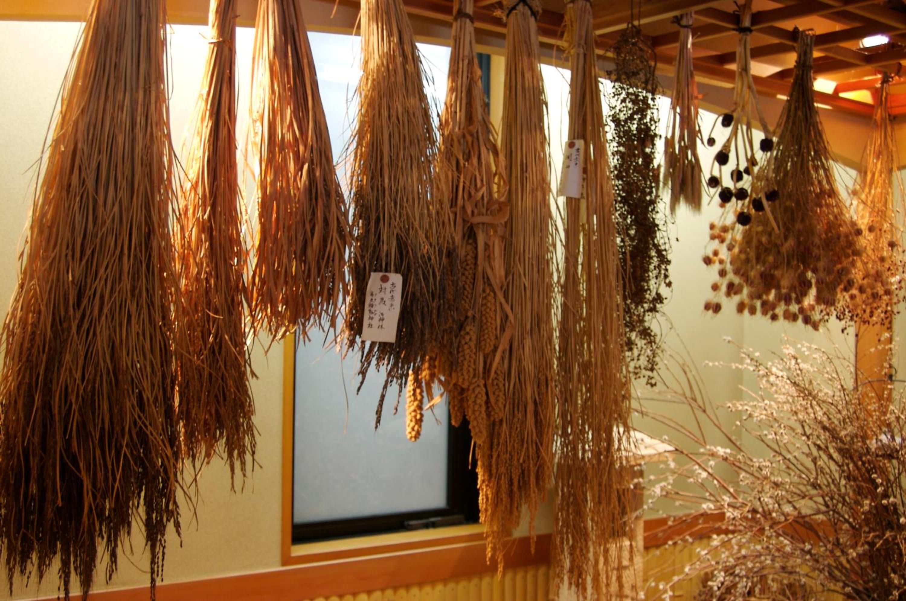 Kawayu Onsen Fujiya