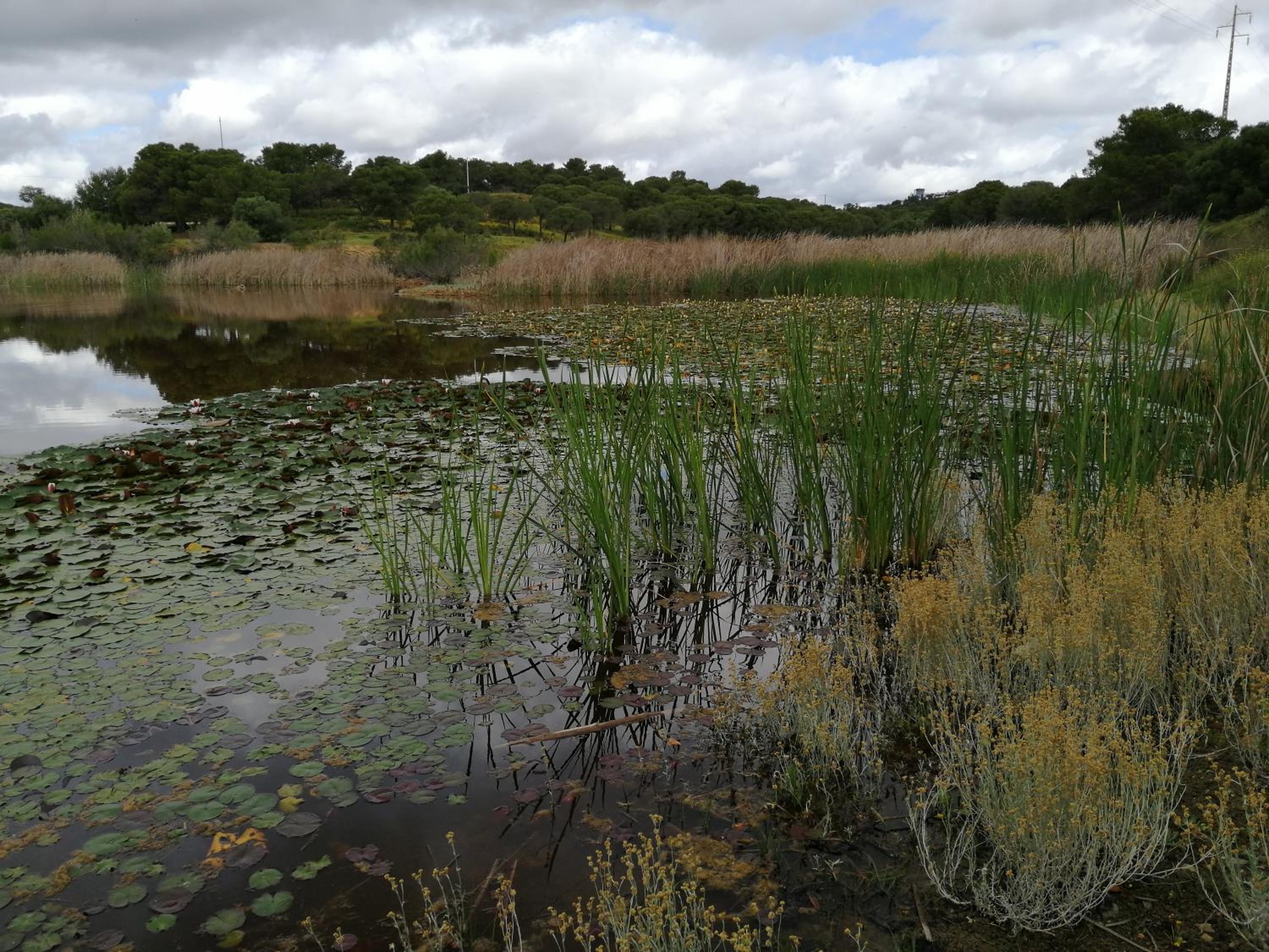 Quinta da Fornalha - Santuario Agroecologico - Image 3