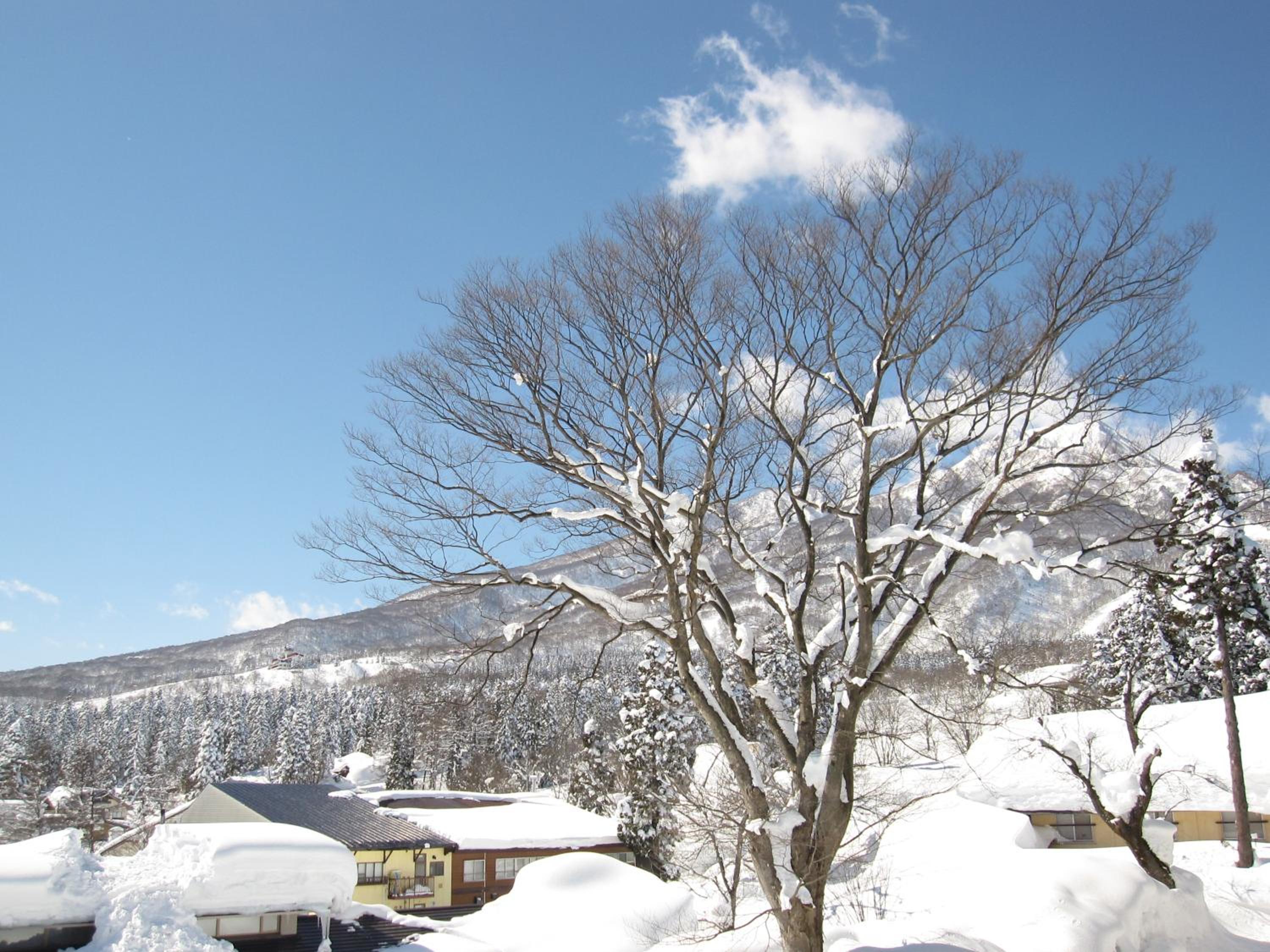 Akakura Hotel