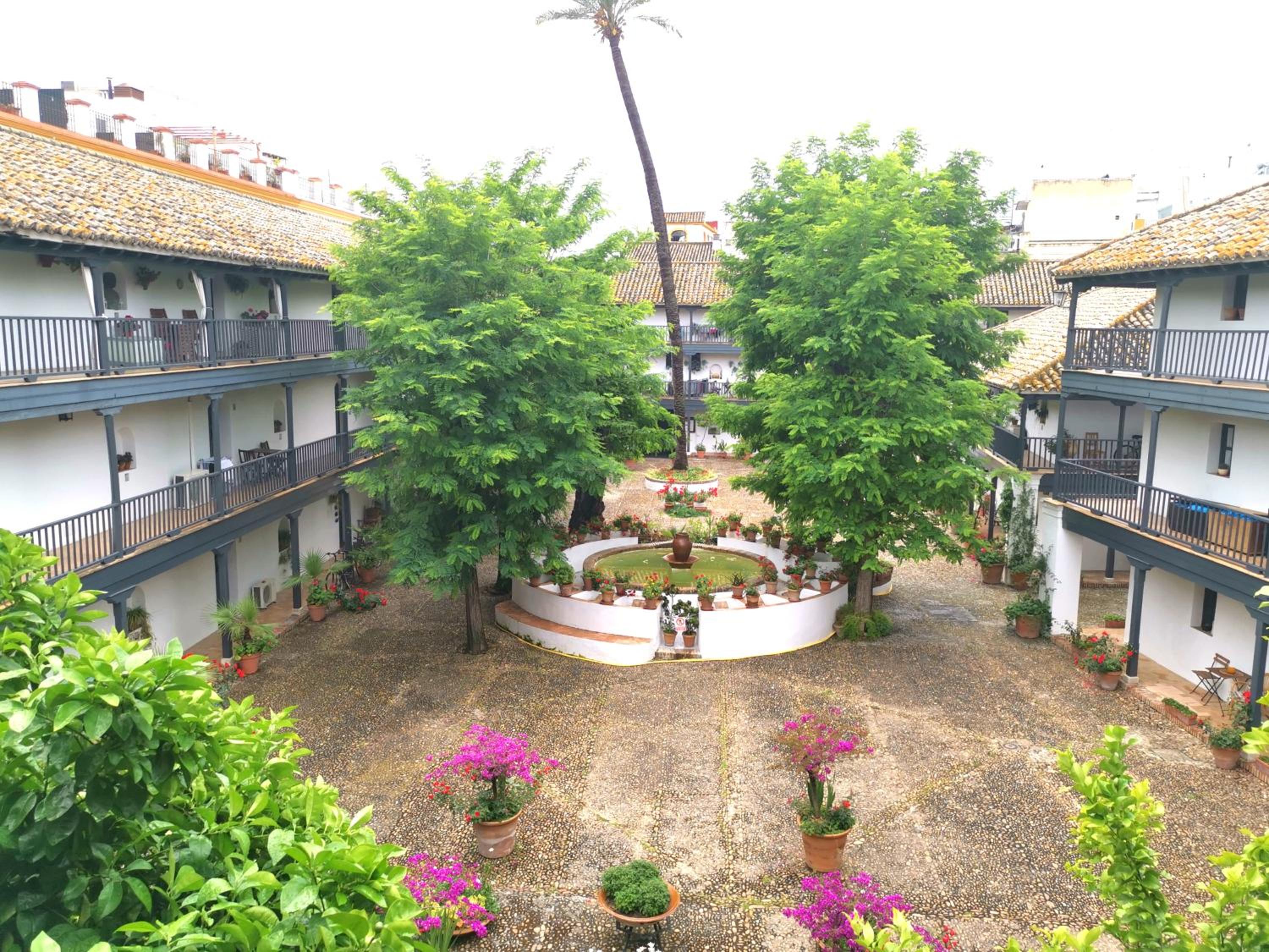 Andalusian Courtyard
