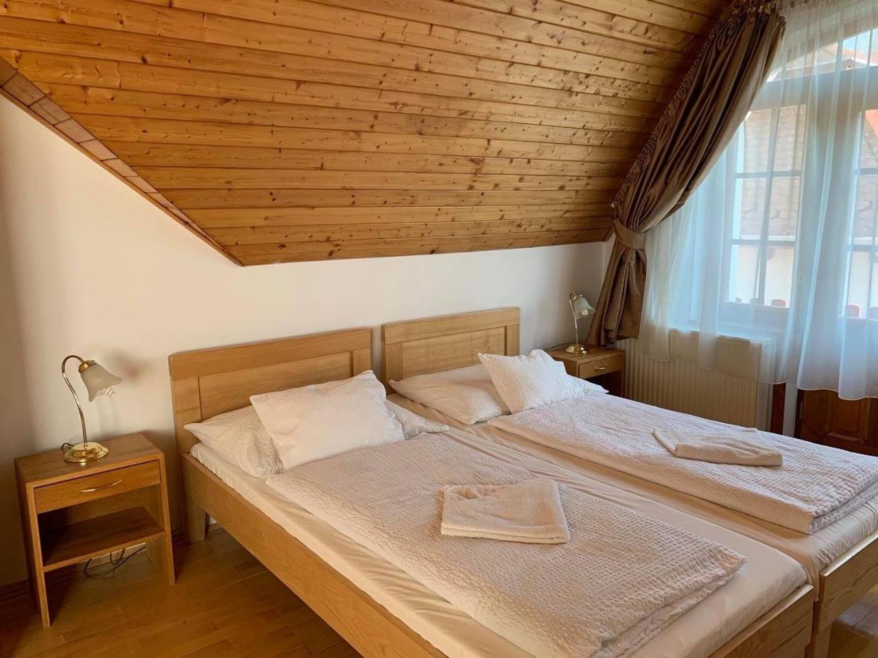 Aranybánya Panzió és Apartmanház view 4