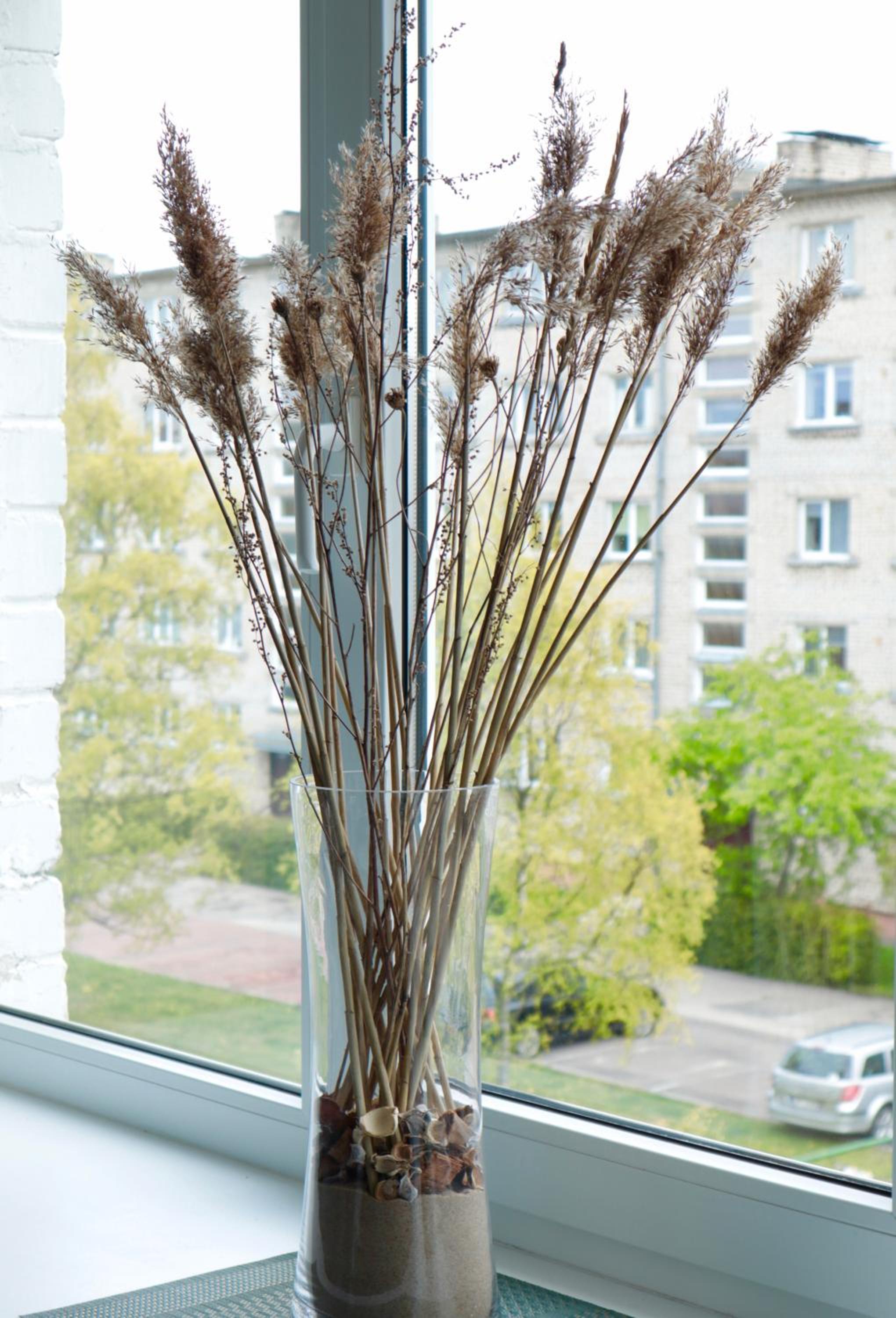 Neptune Ear, Family-friendly, modern, fully-equipped, cozy apartment