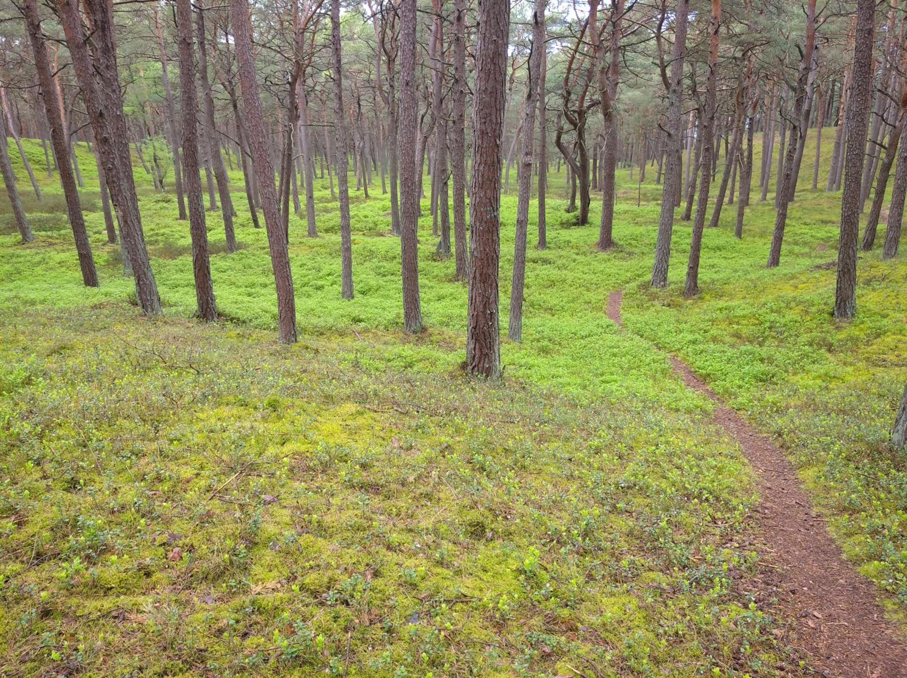 Photo 40