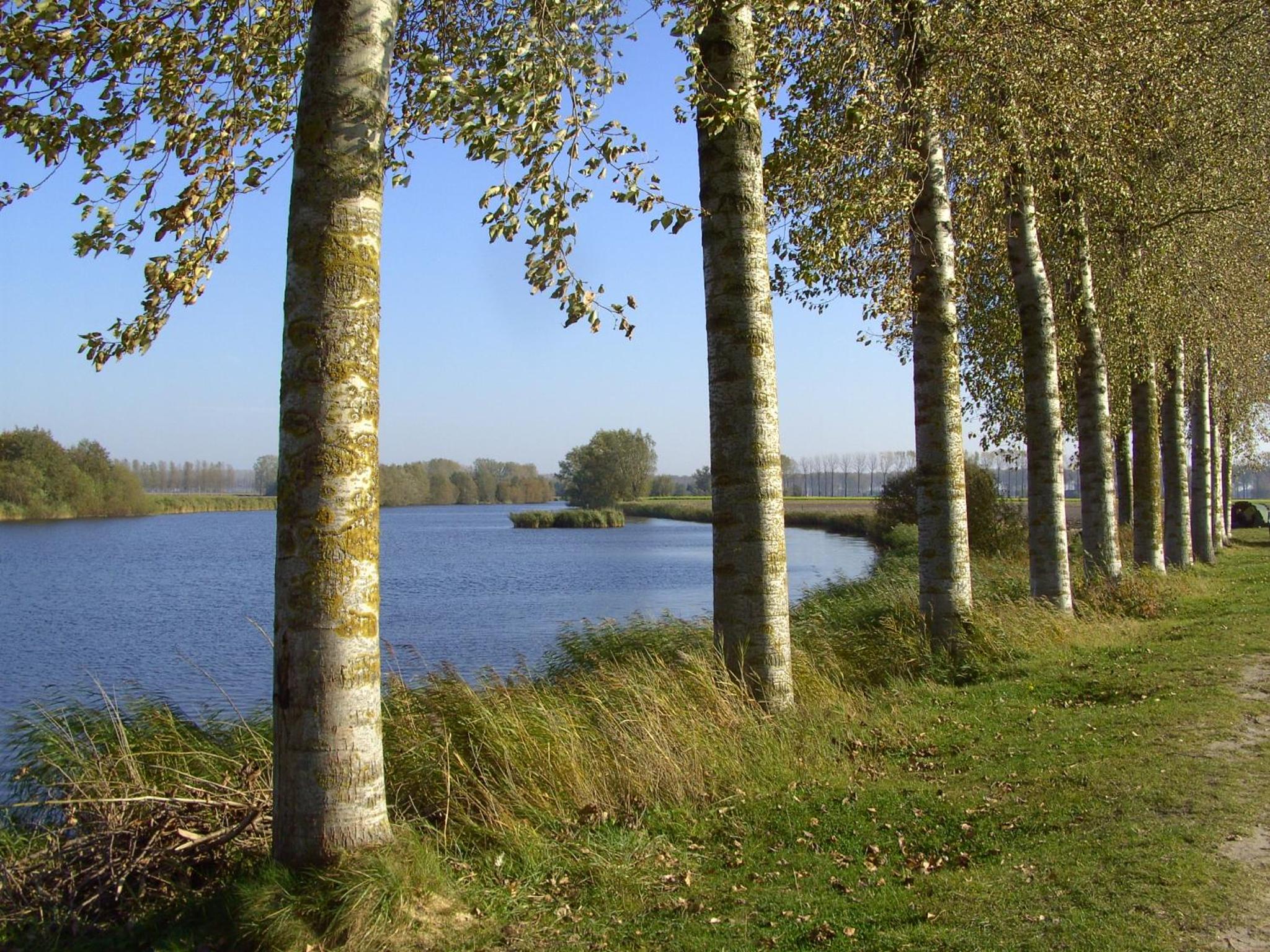 De Zonnebrug Dijkhoeve
