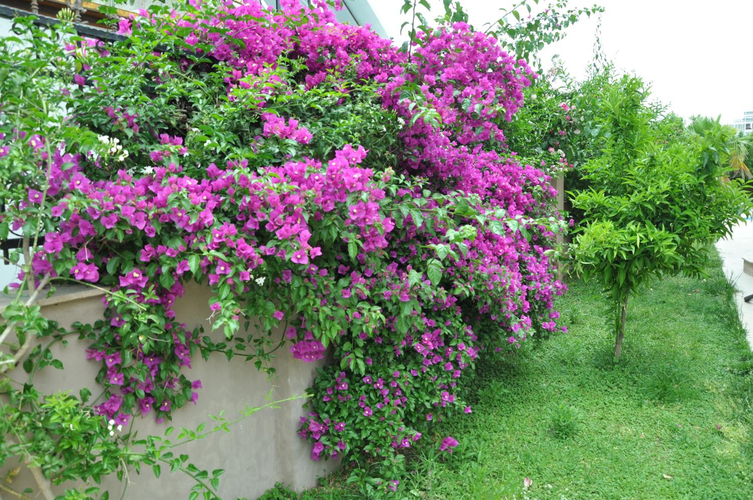 premium park apart otel - Image 207