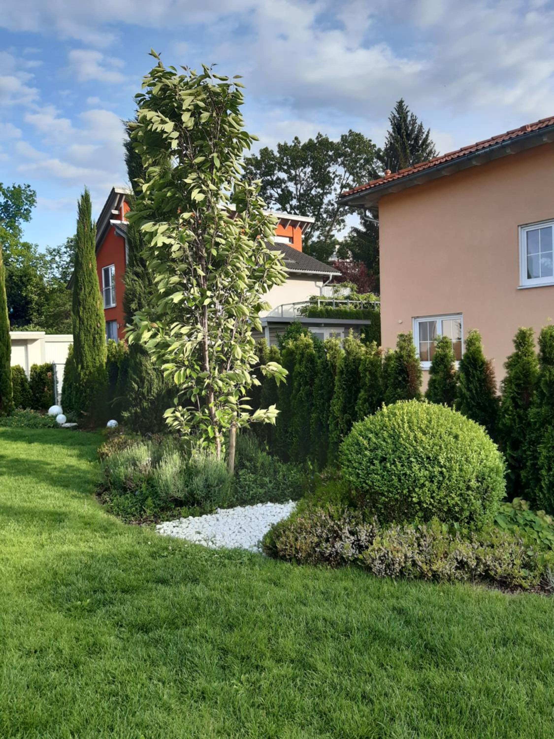 Photo 28