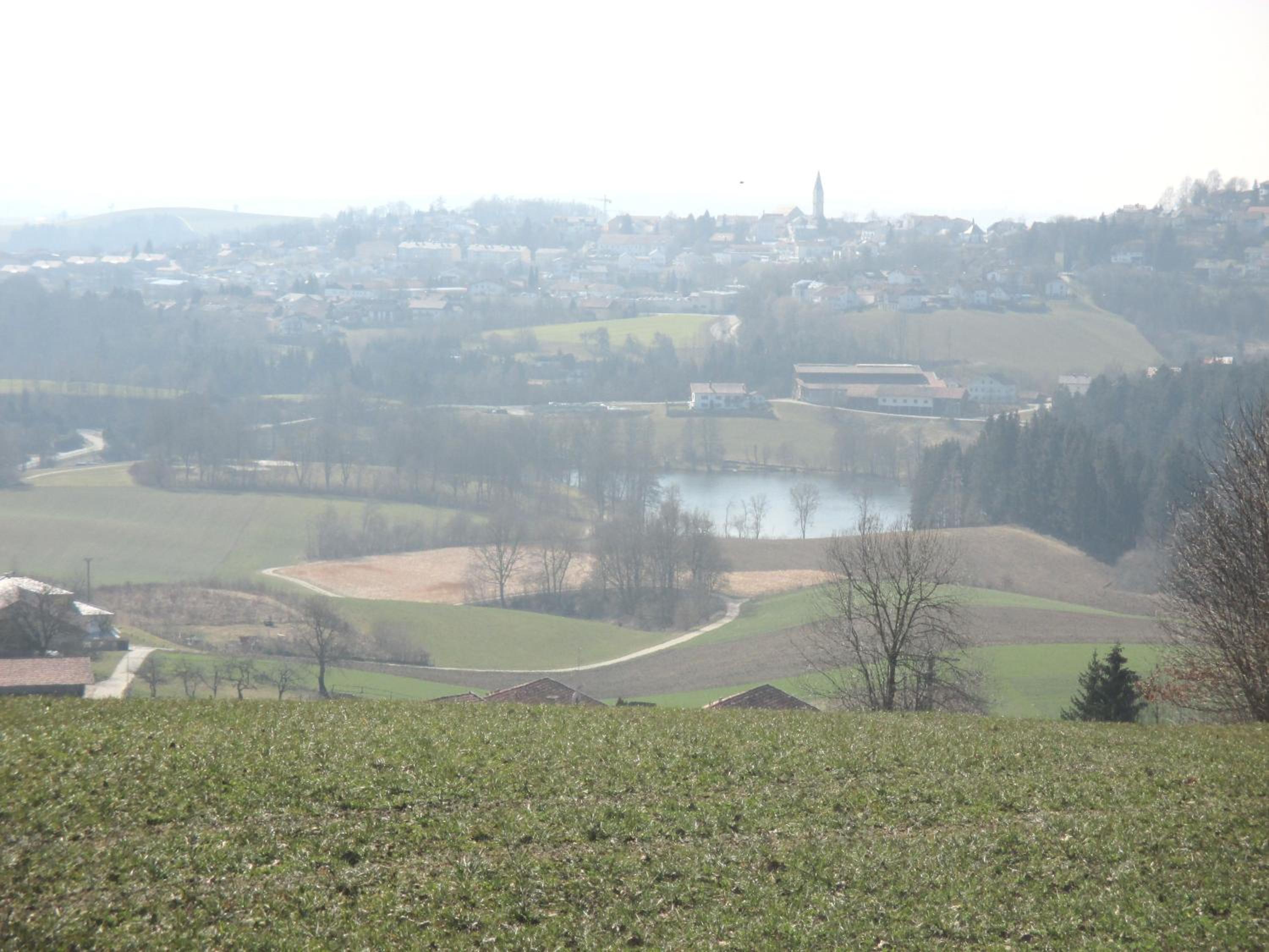Photo 20