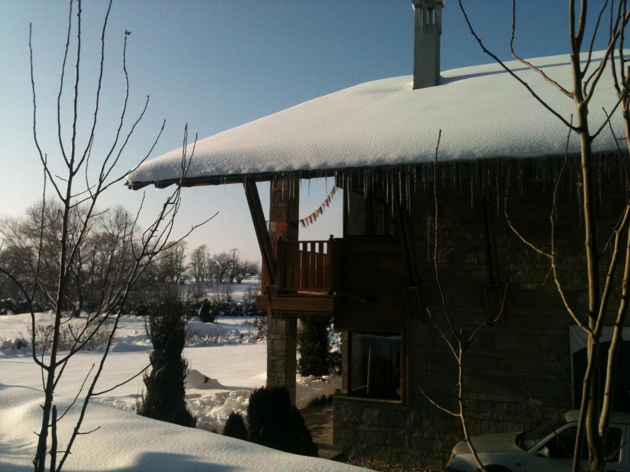 Photo 41