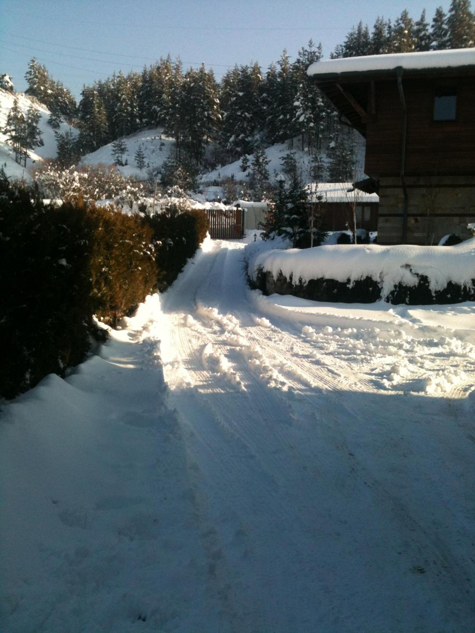 Photo 42