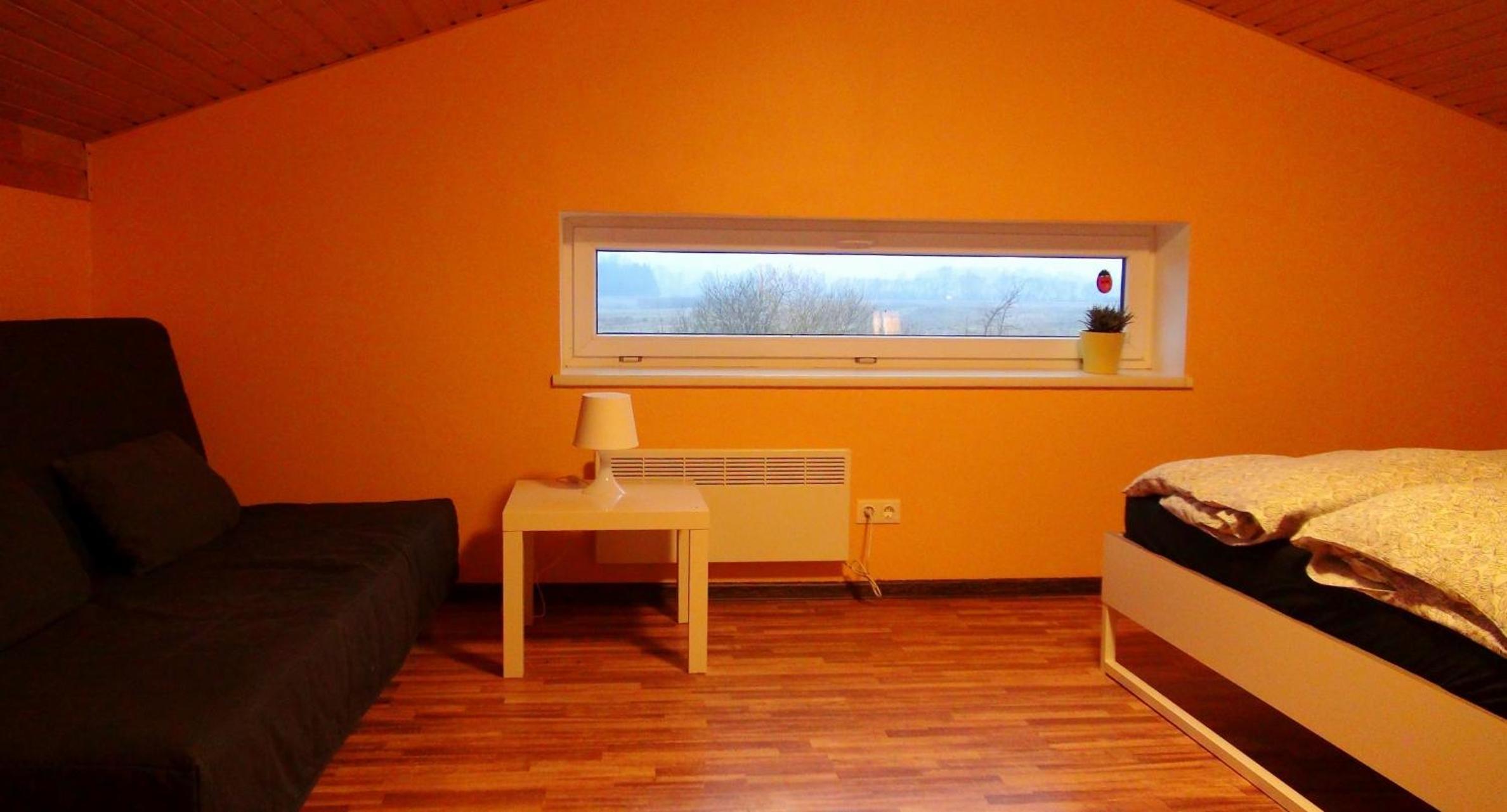 Photo 50
