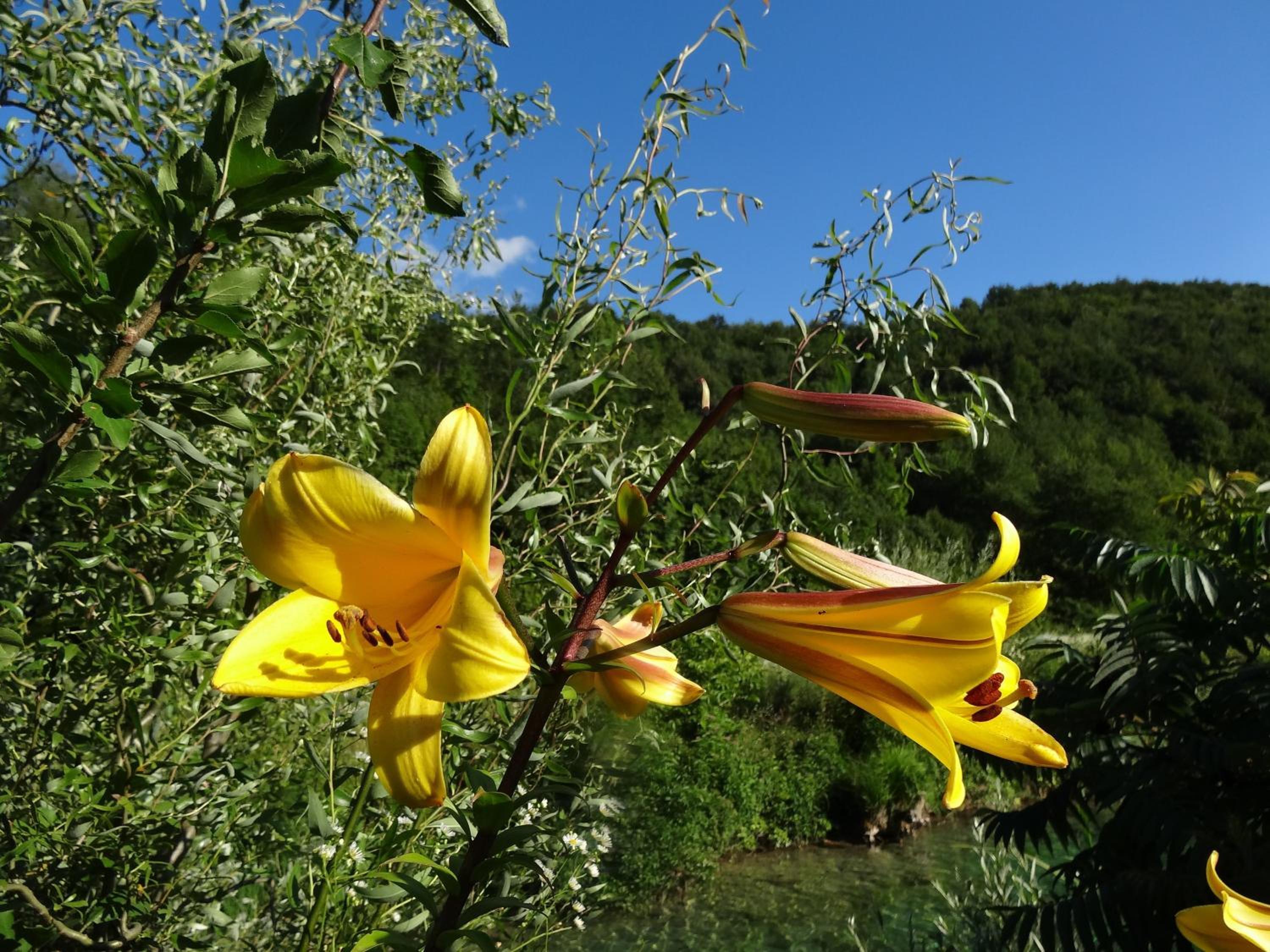 Photo 25