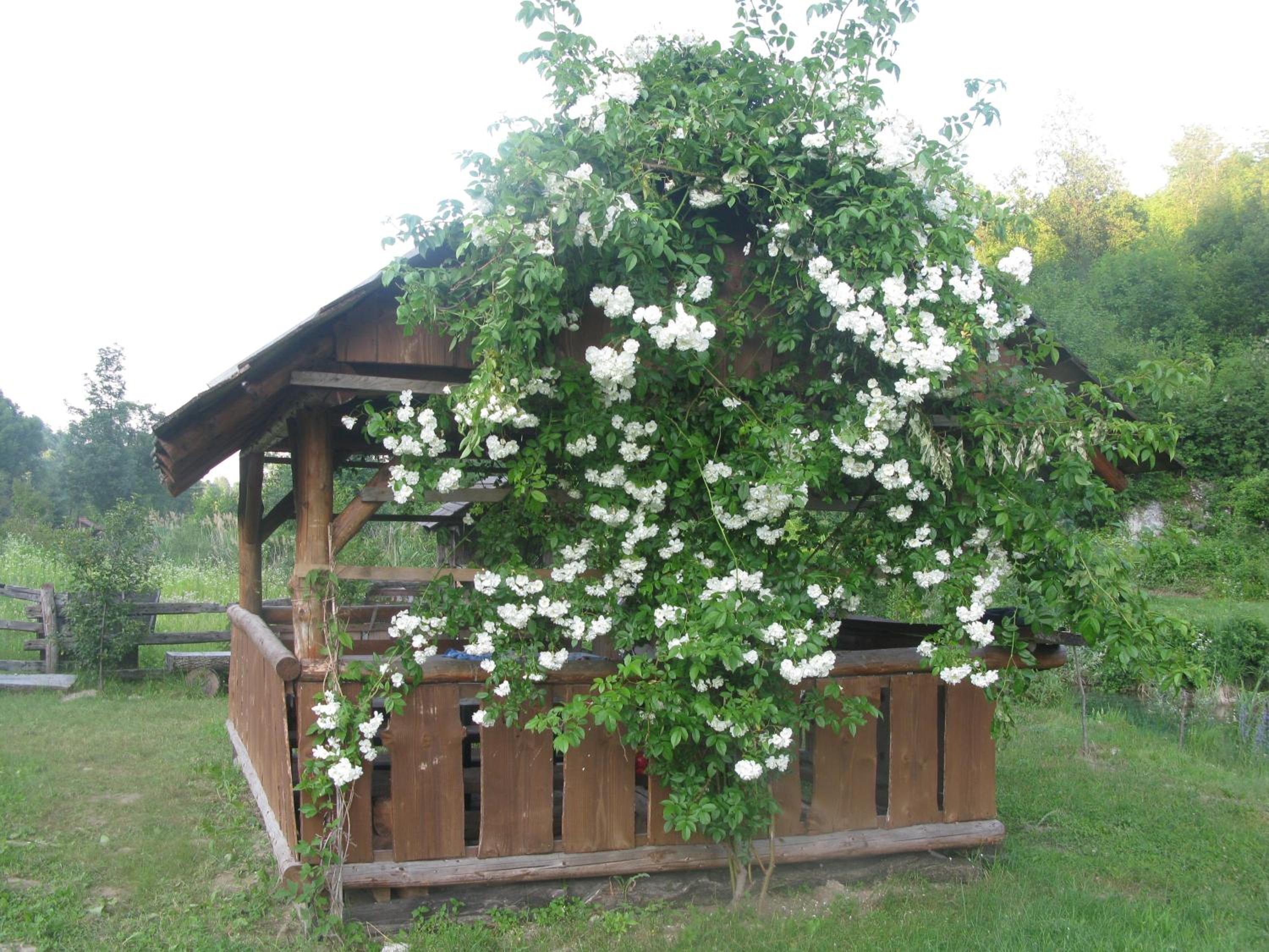 Photo 26