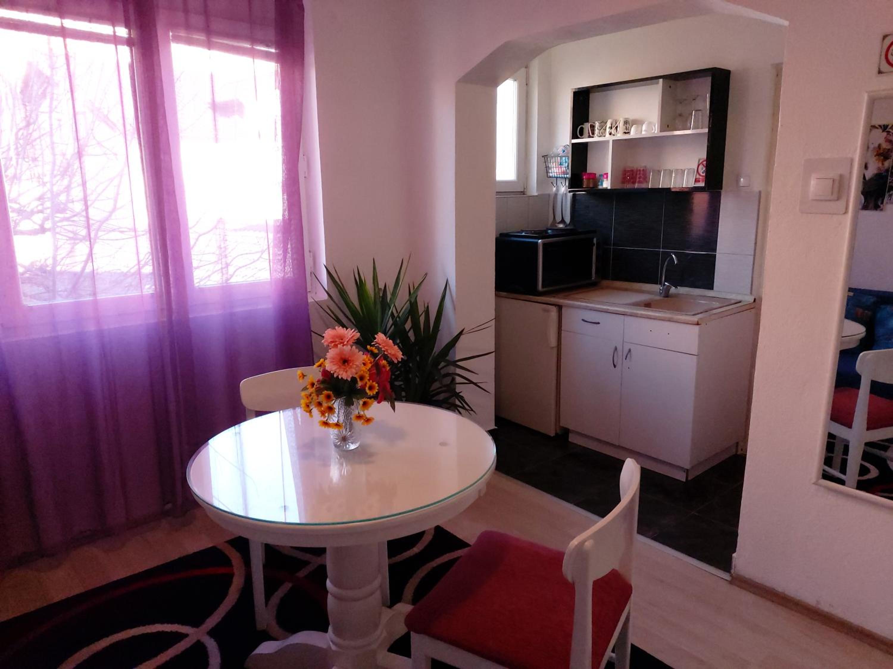 Apartment Sim