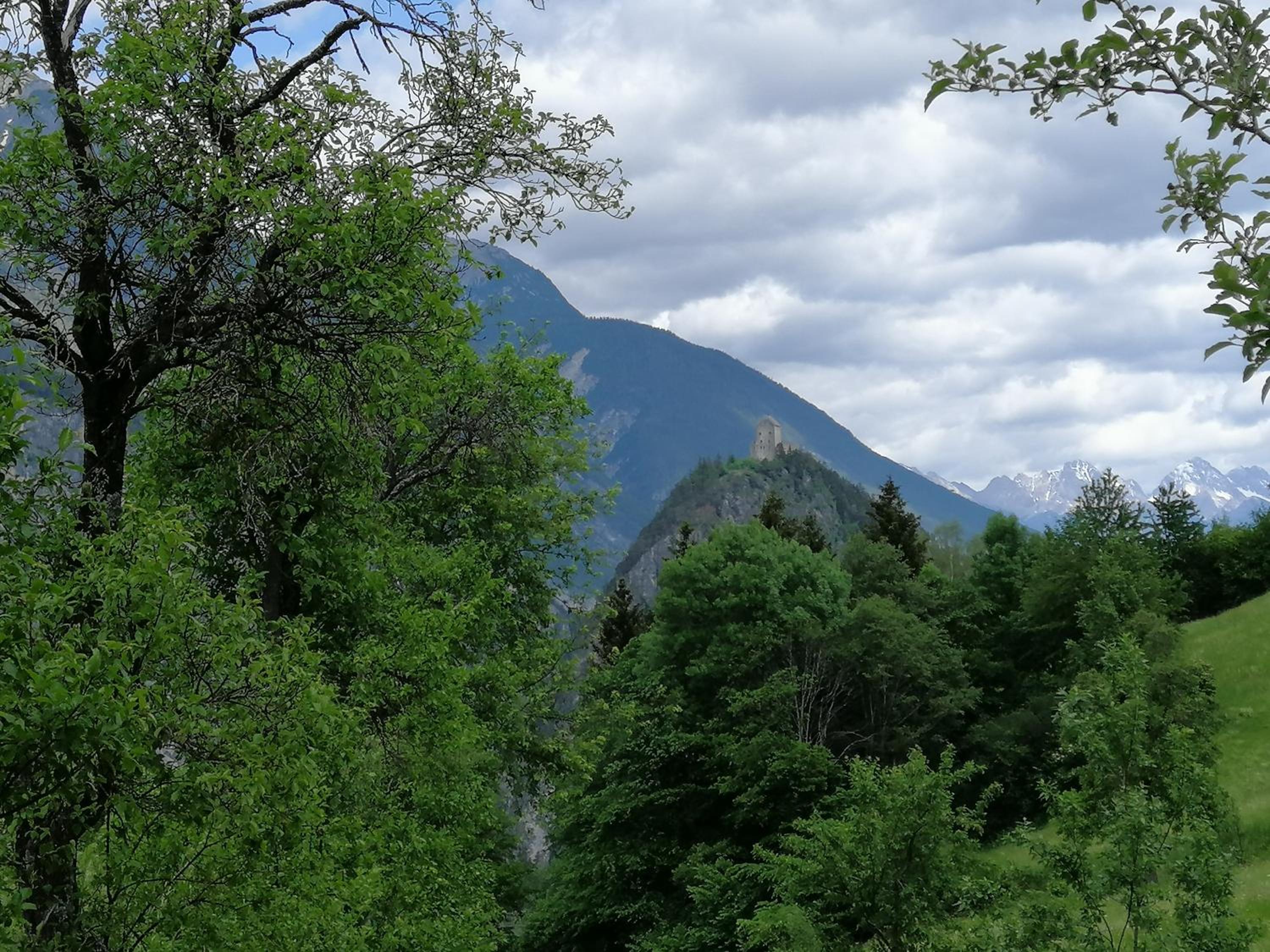 Photo 14