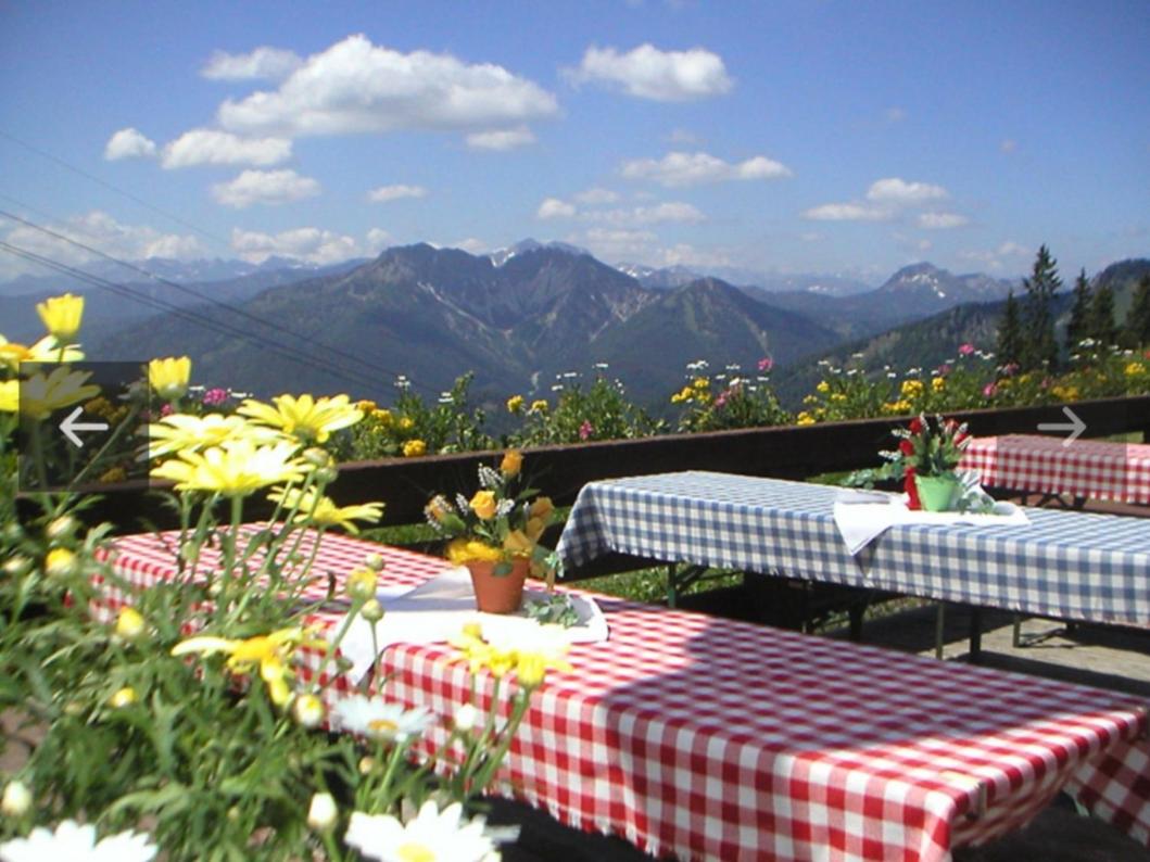 outdoor BBQ area