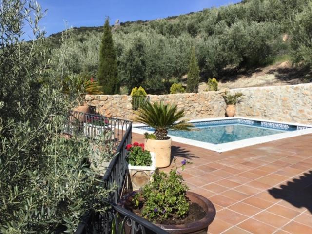 Luxury Spanish Country House close to Granada & Sierra Nevada view 4