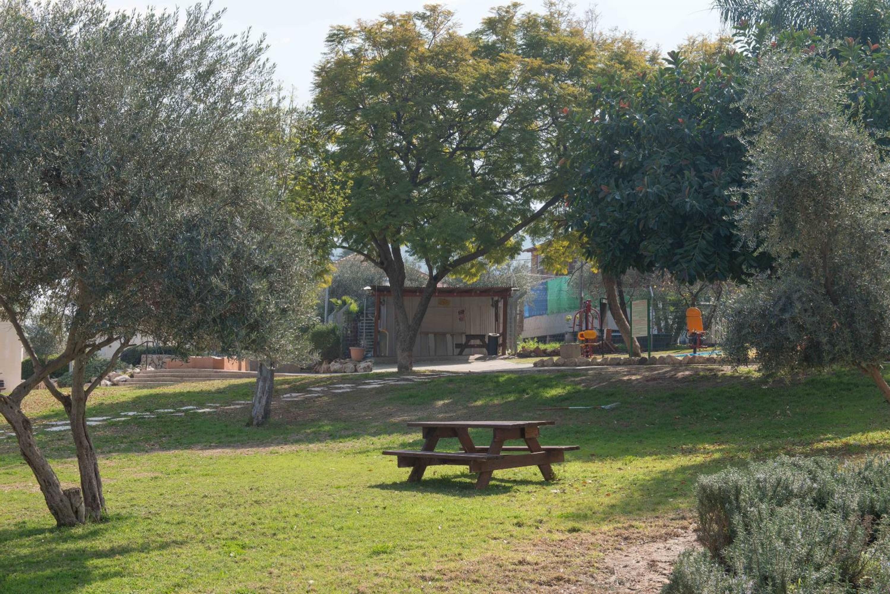 Photo 8