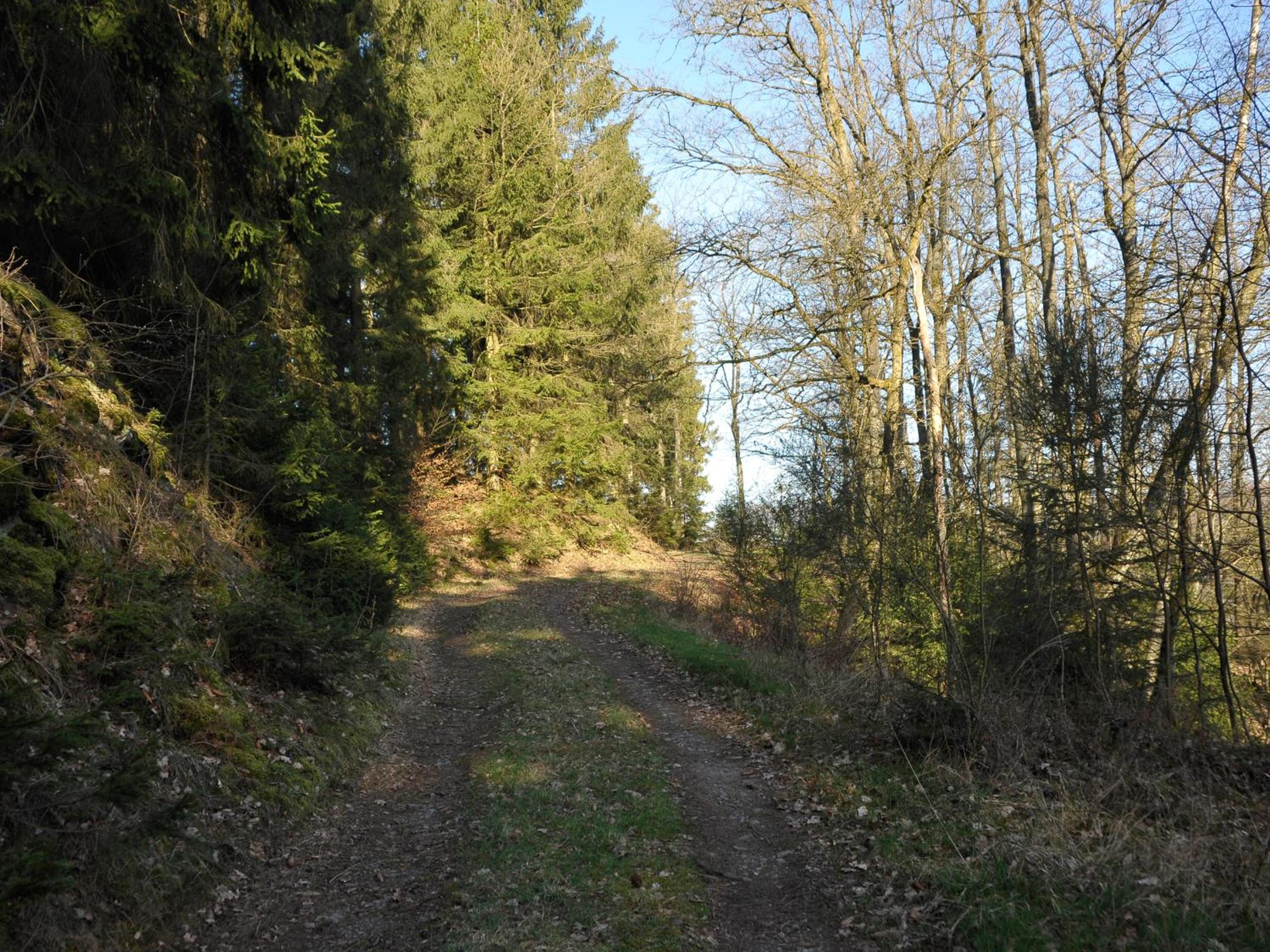 Rothaarsteig Ferienhaus