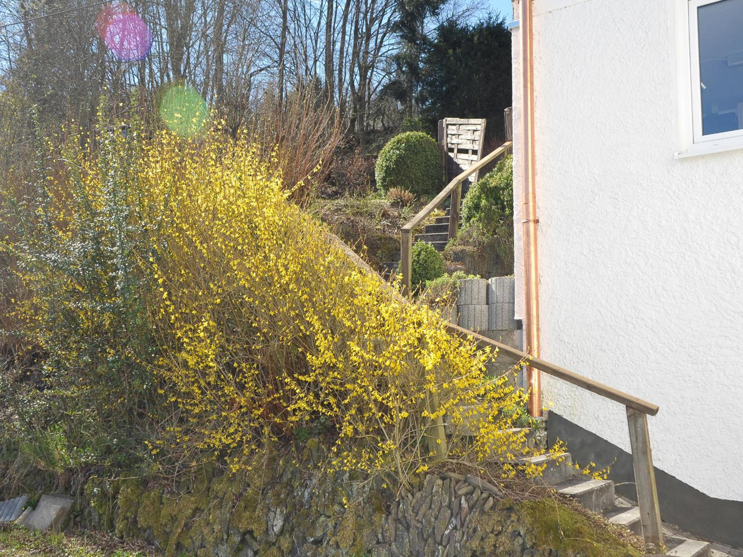 Rothaarsteig Ferienhaus
