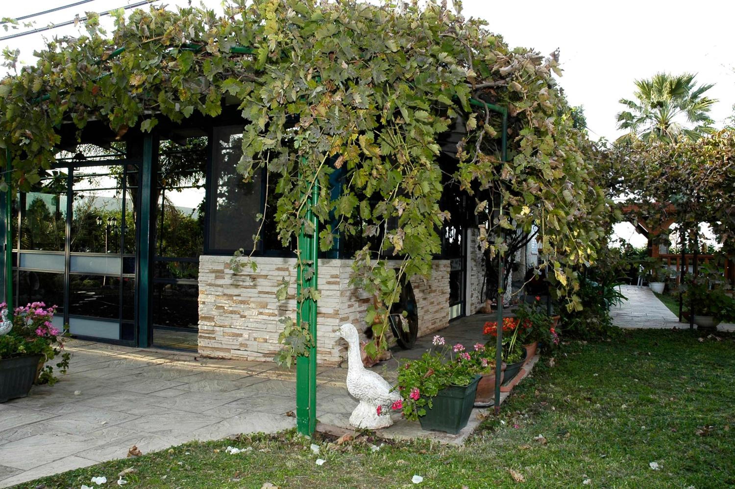 Photo 22