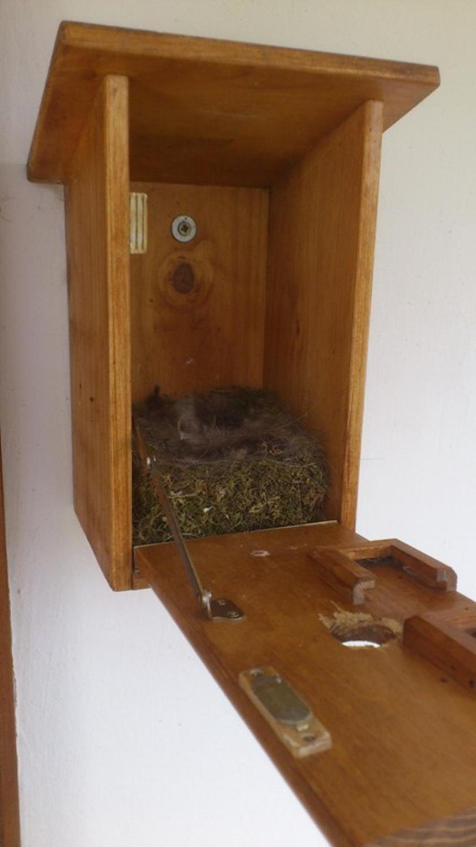 Photo 42
