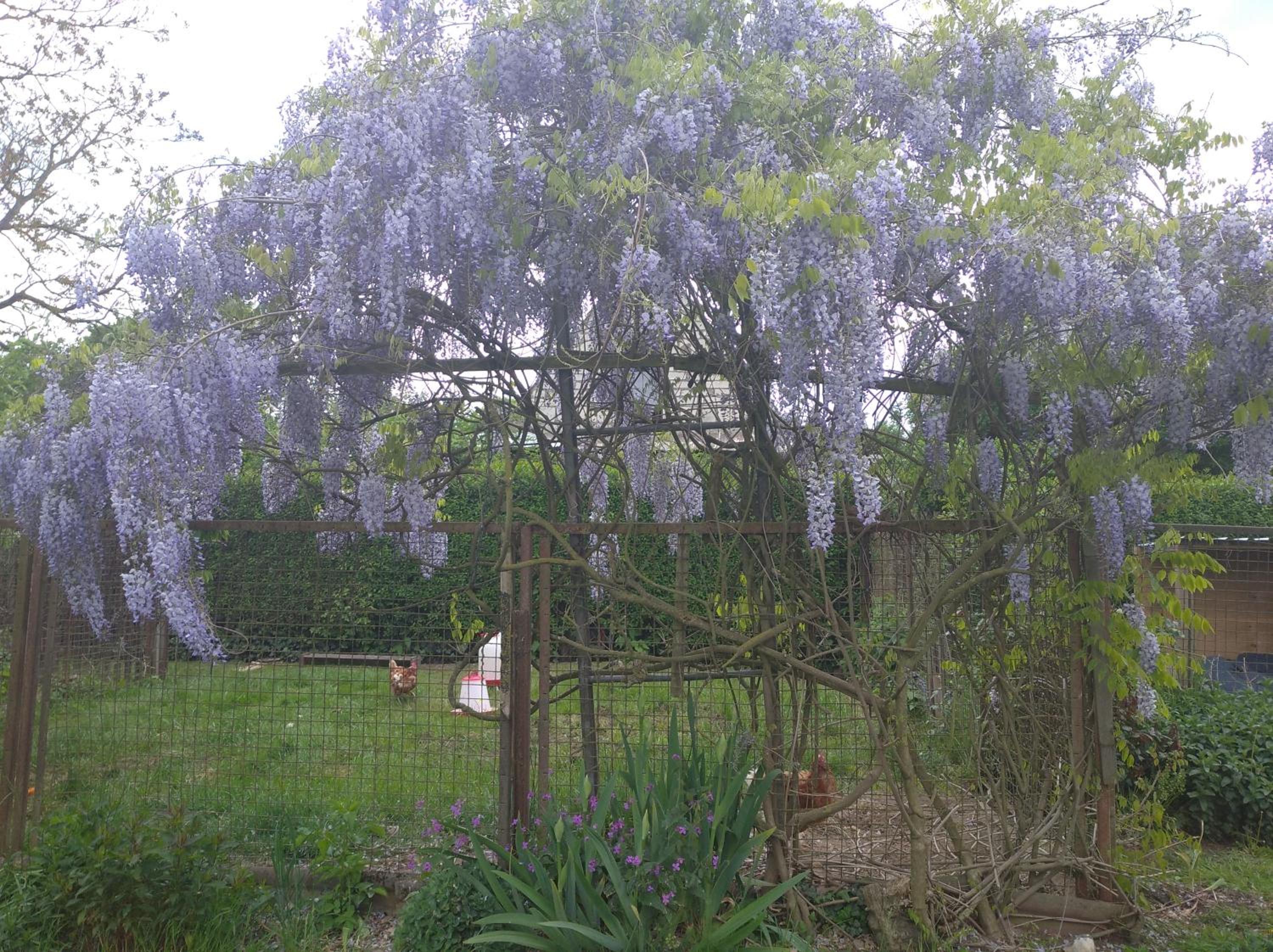 Photo 23