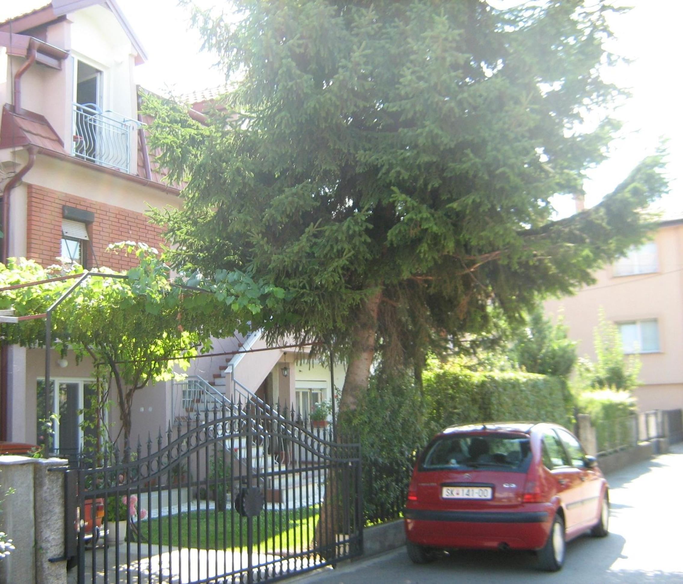 Photo 36