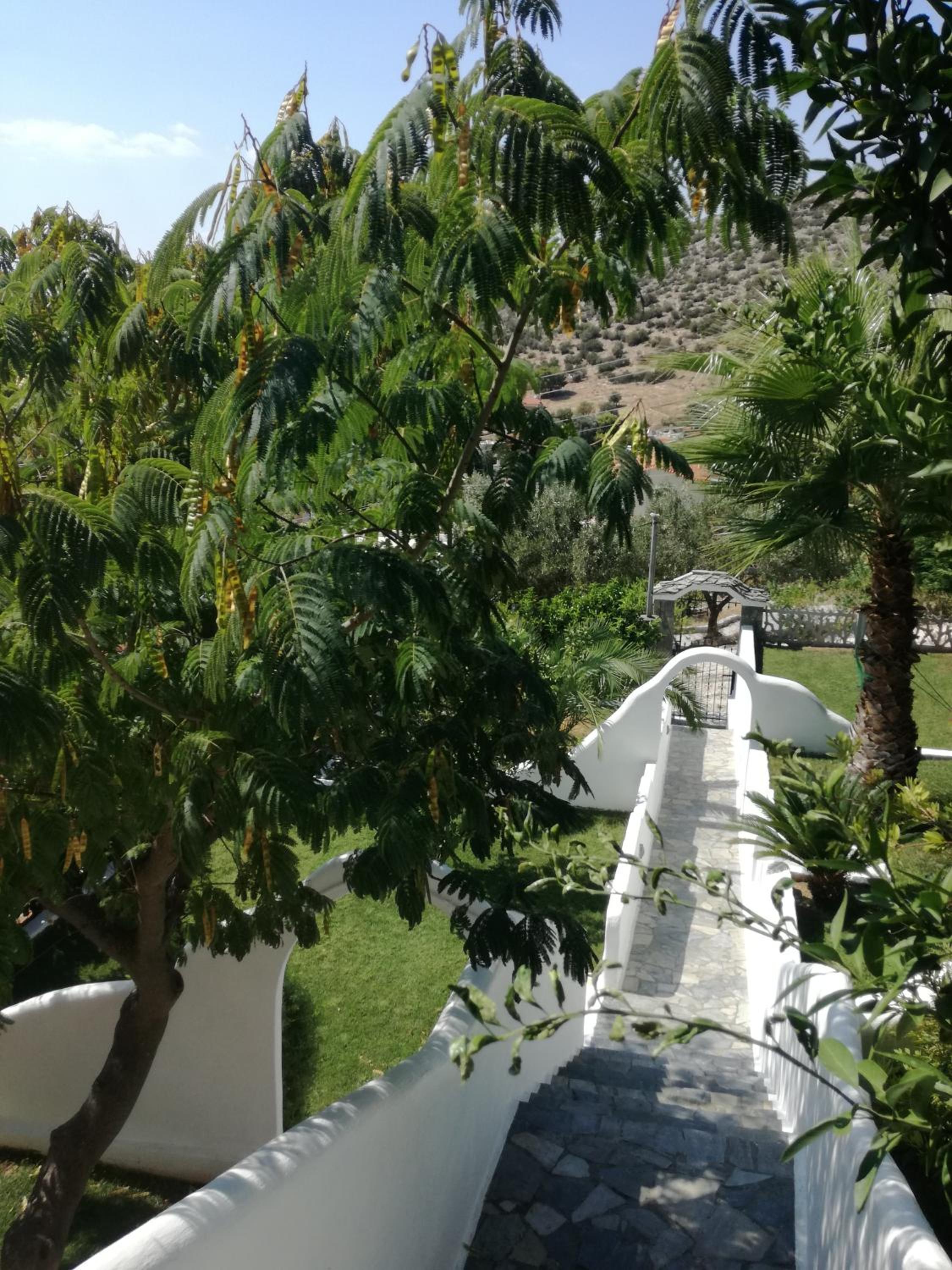 Photo 42
