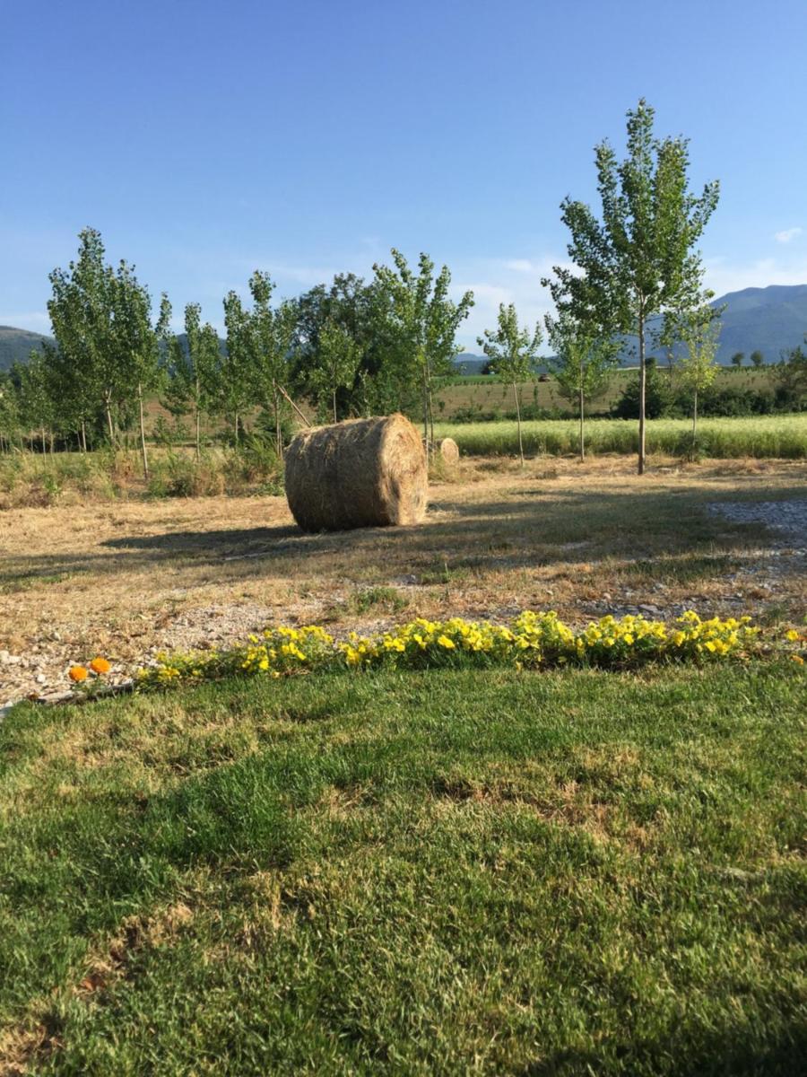 Photo 36